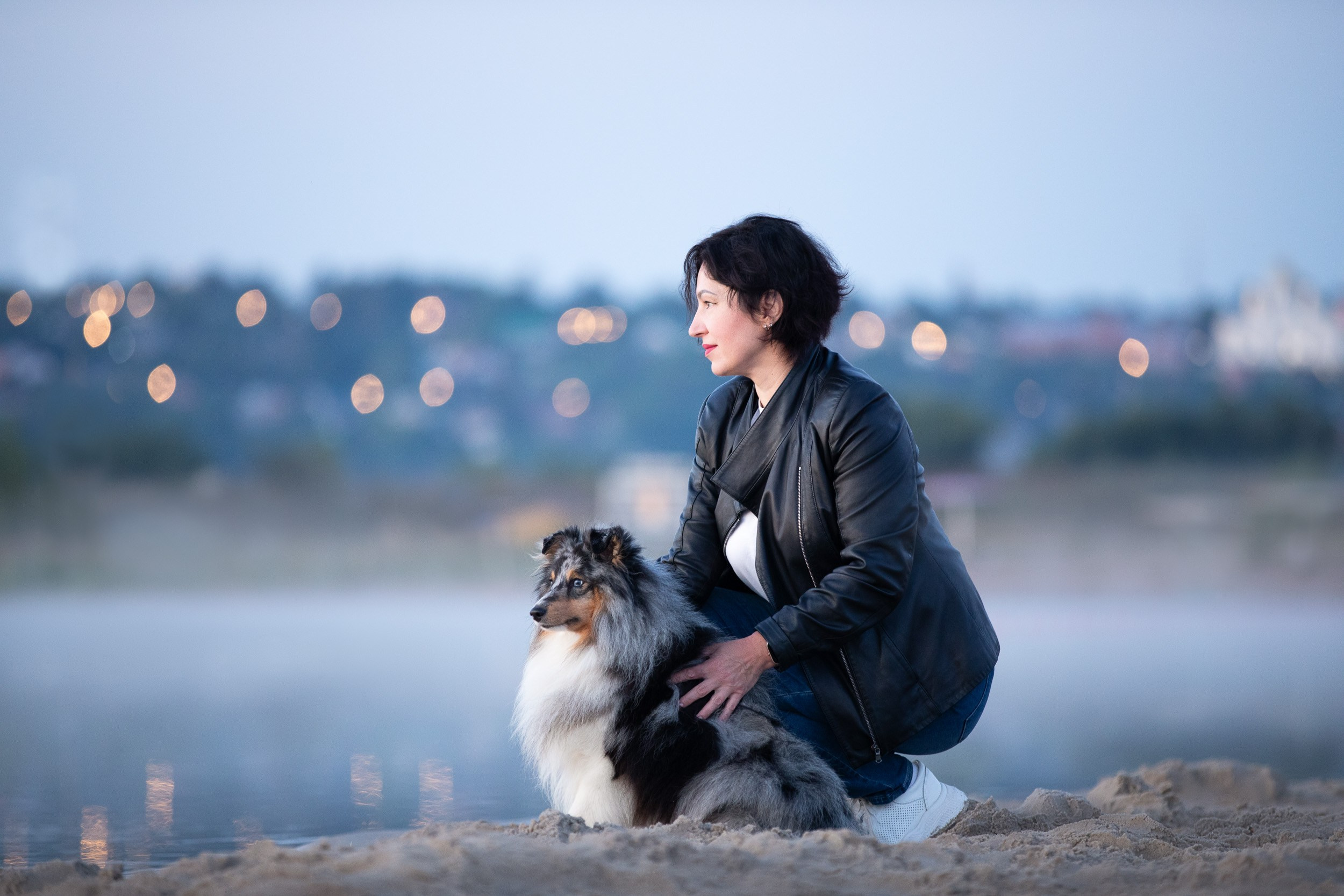 Съемка с шелти на рассвете на песчаном карьере. Фотограф-анималист в Москве и Московской области Татьяна Фролова