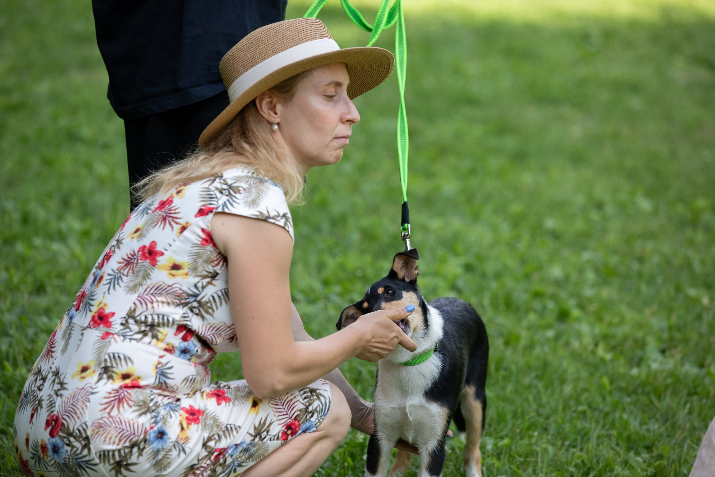 Репортаж с выводки молодняка колли/шелти в Ясенево. Фотограф-анималист в Москве и Московской области Татьяна Фролова