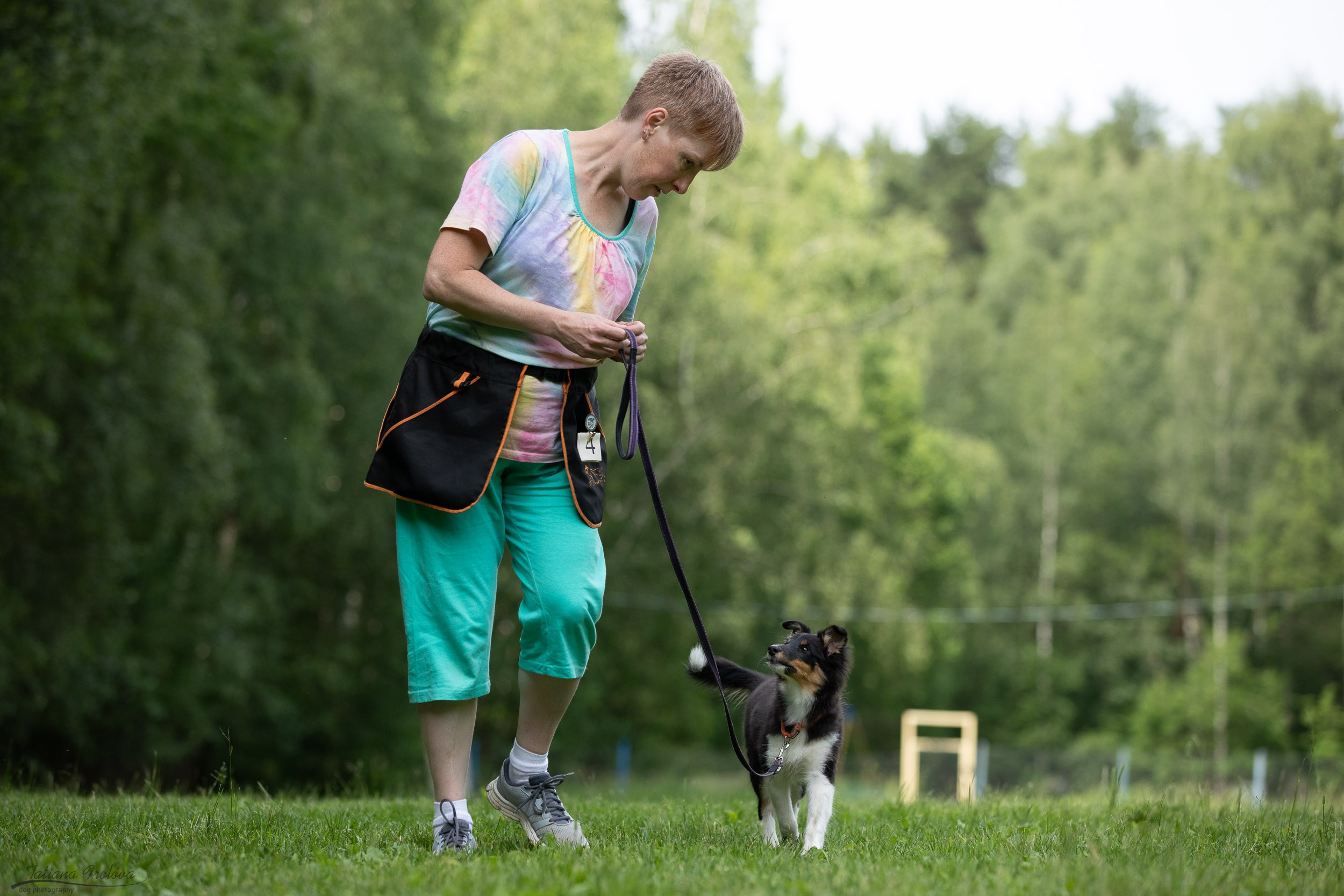 Репортаж с выводки молодняка колли/шелти в Ясенево. Фотограф-анималист в Москве и Московской области Татьяна Фролова