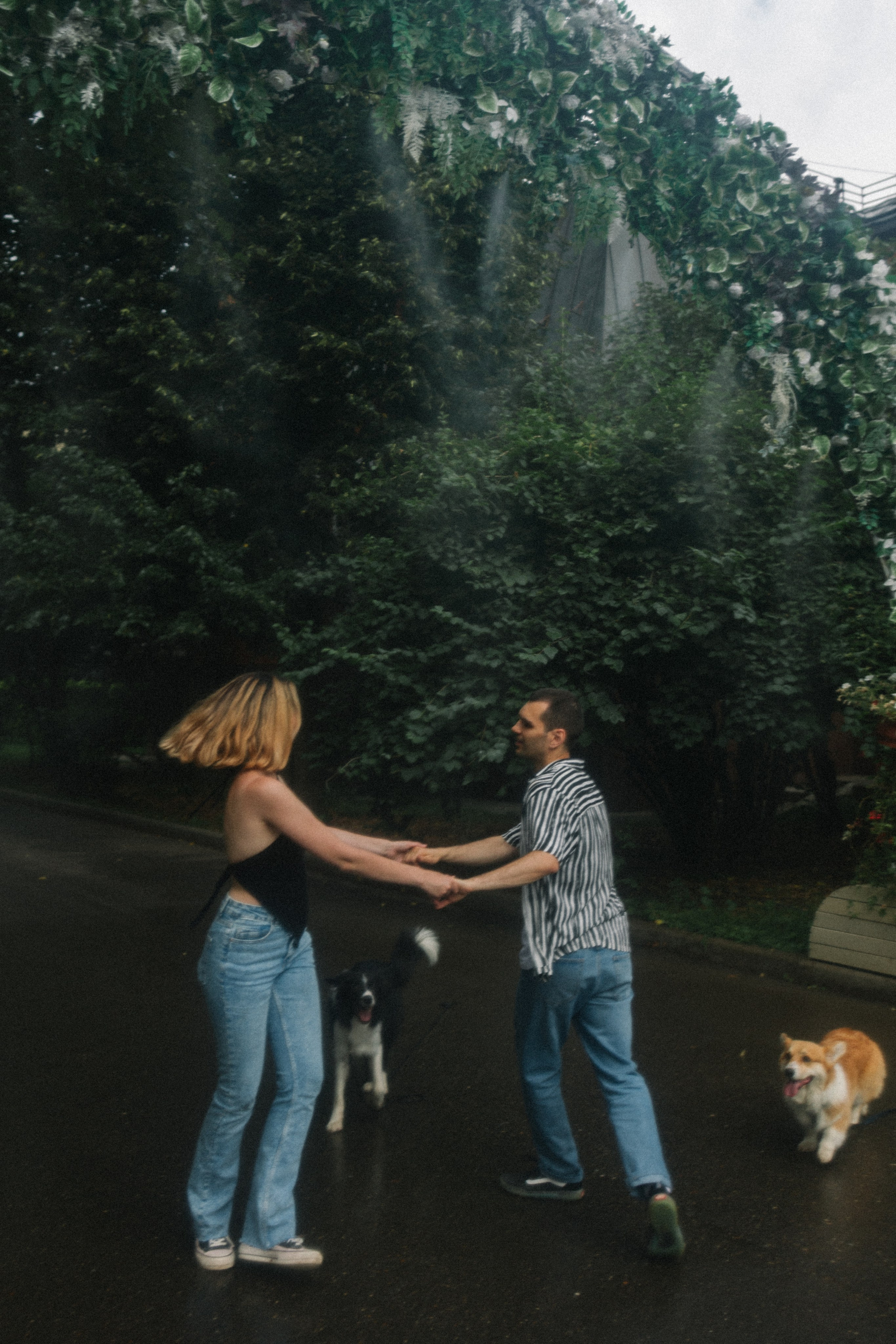 Брюс, Вейв и их ро. Фотораф — анималист Мария Шистка