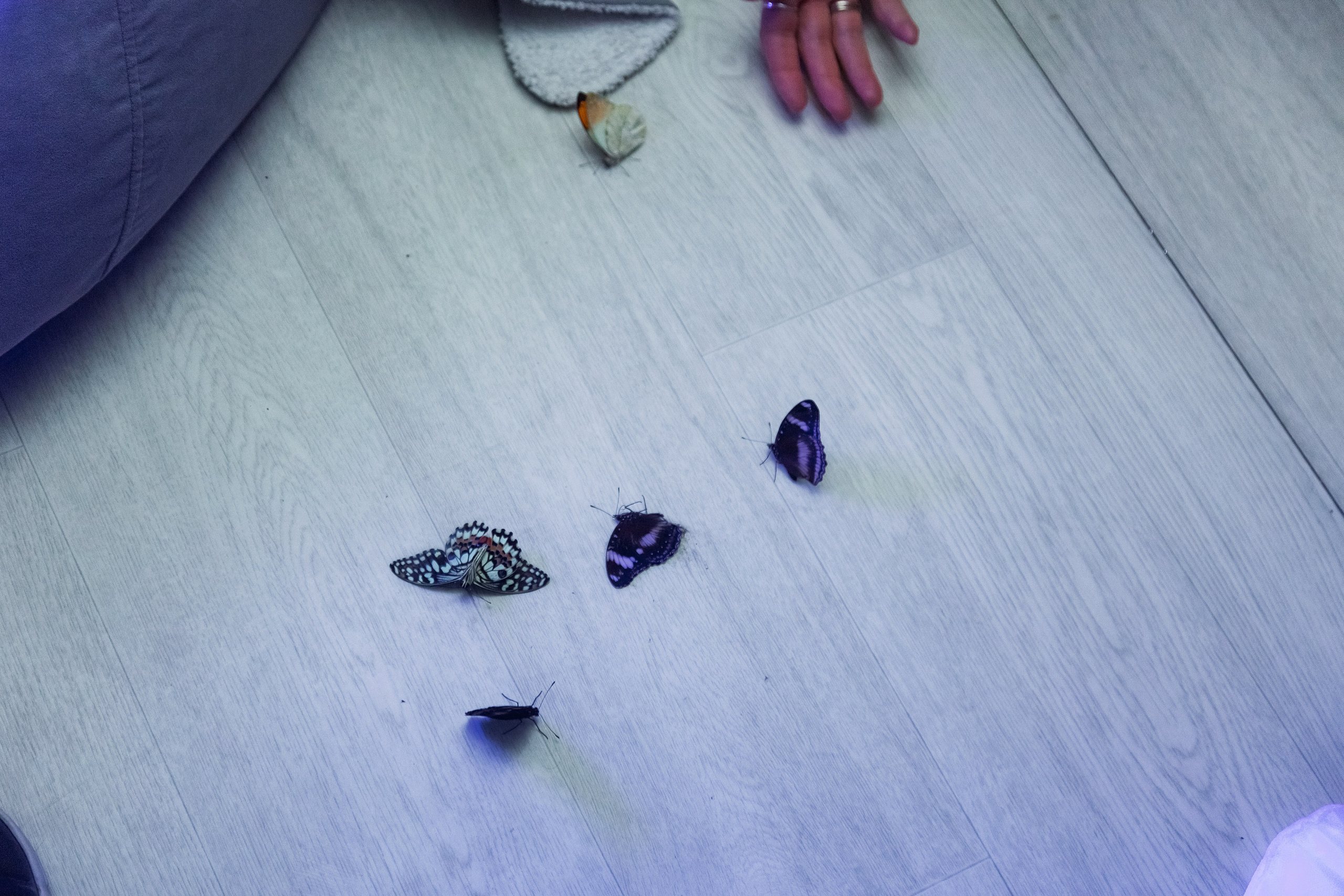 . Фотограф в Москве и Одинцово