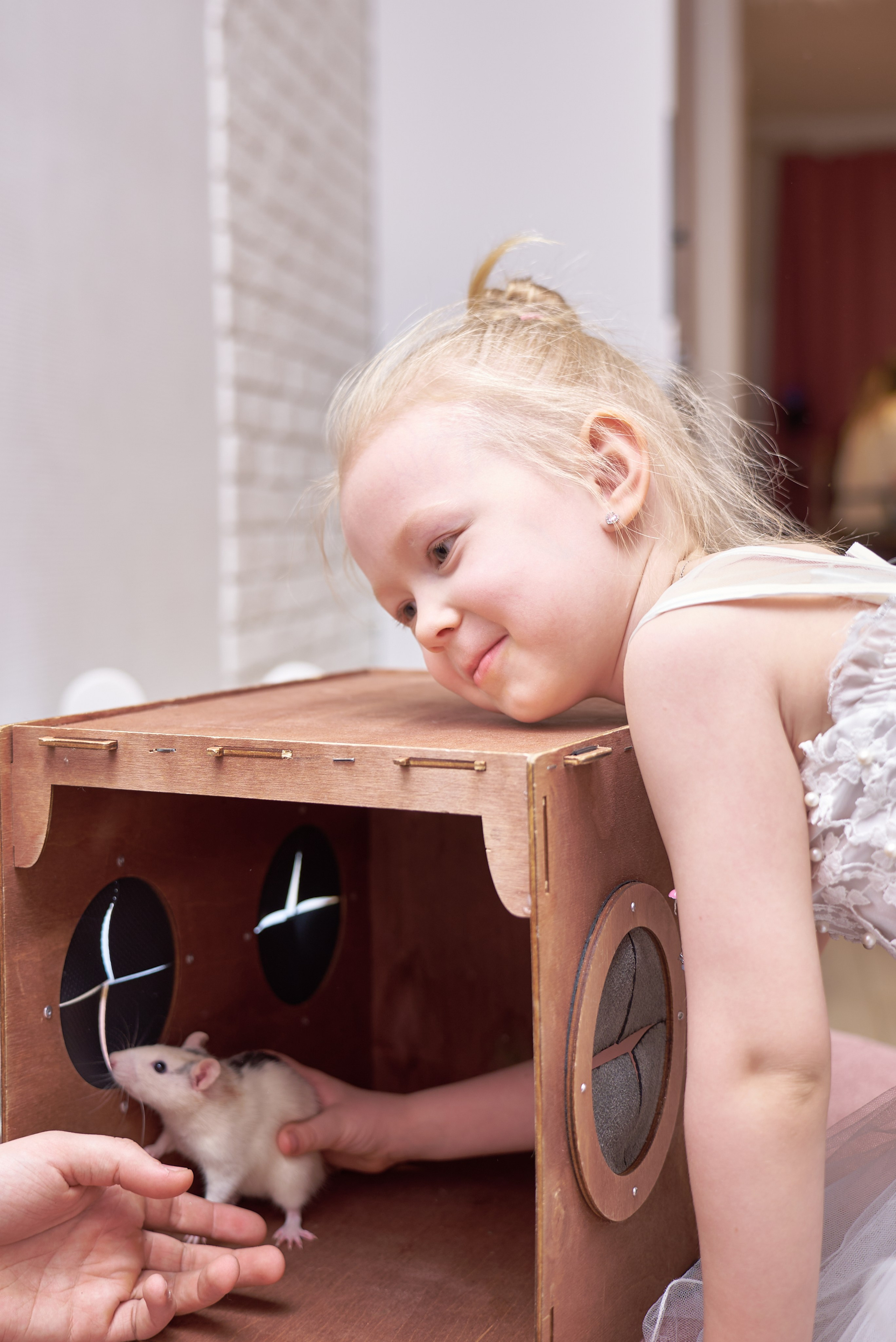День рождение Алисы. Фотограф в Химках, Сходни и Зеленограде Изюмцева Татьяна