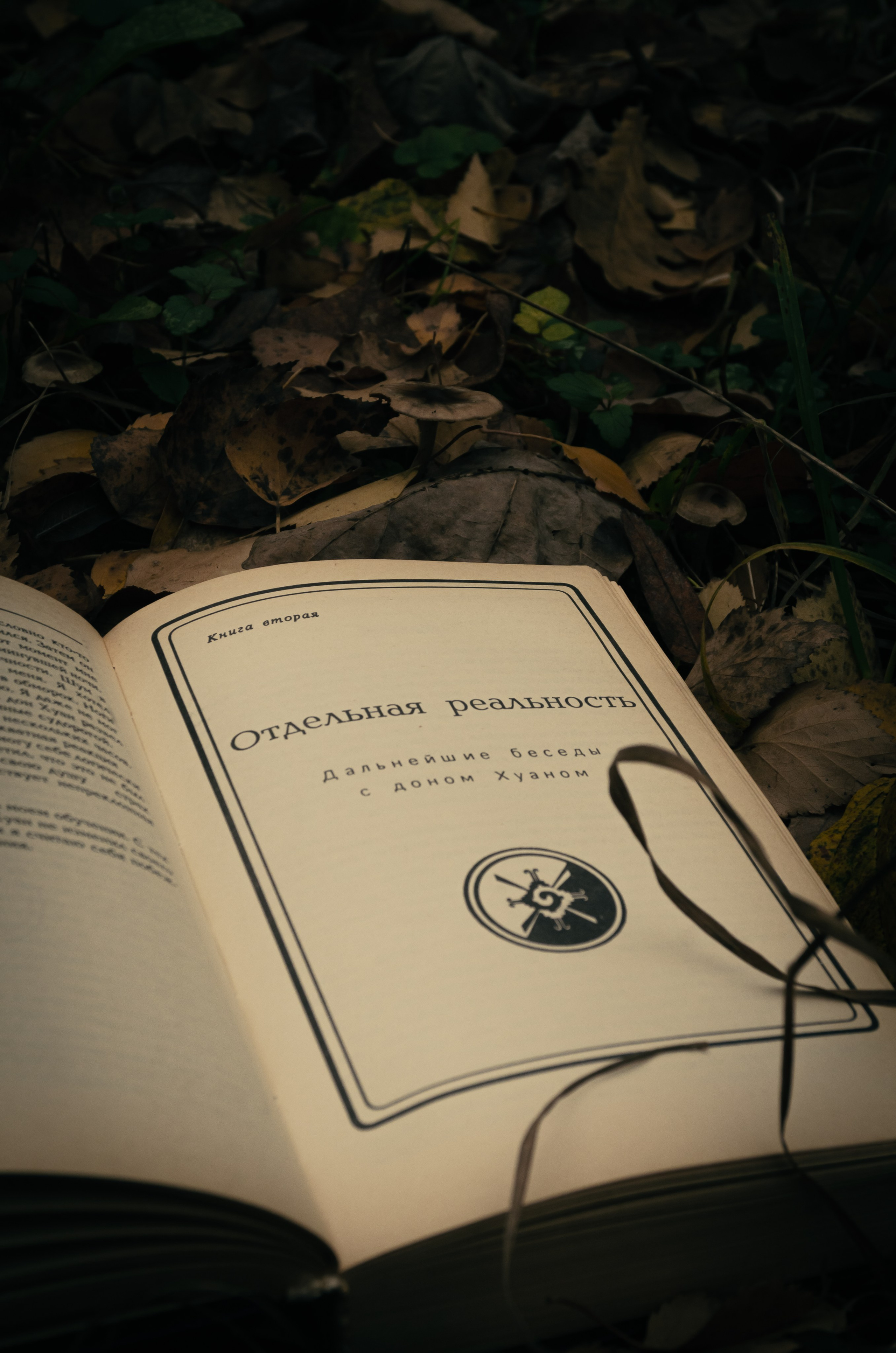 Прогулка ведьмы. Фотосессии по мотивам сказок и фильмов — Катерина Исауленко. СПб