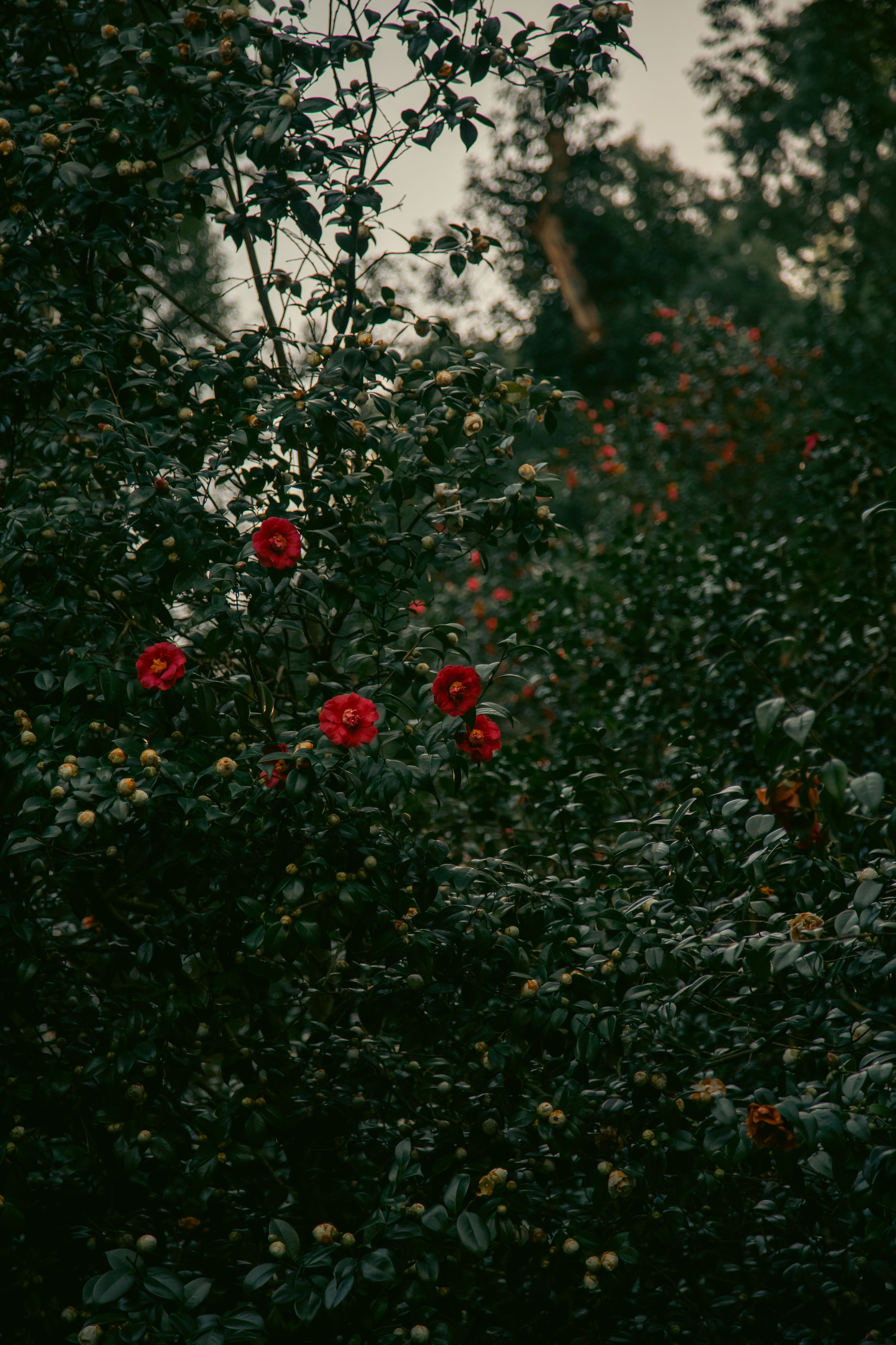 Batumi. Dmitriy [KCCC] is a pretty cool photographer