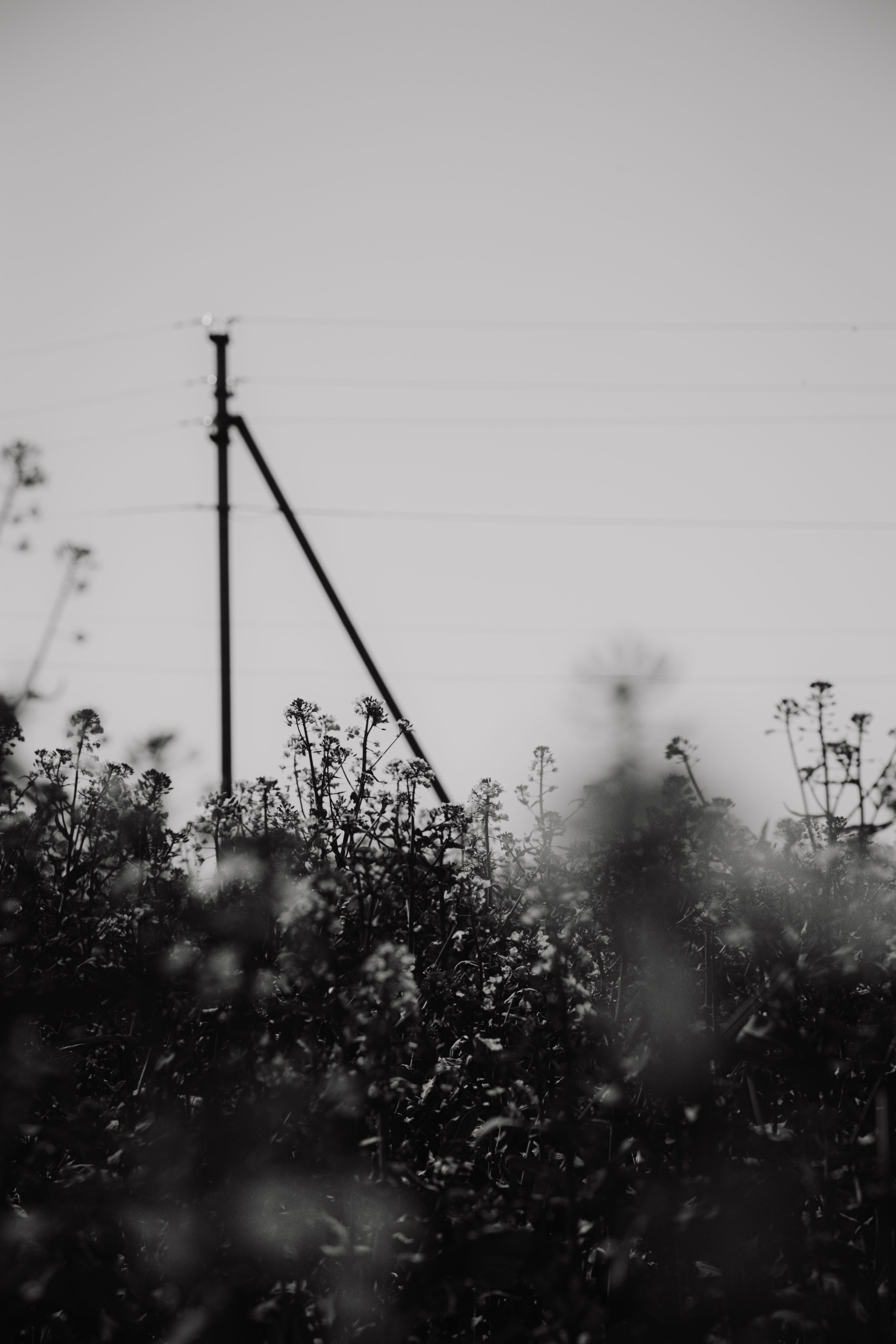 Дагестан 1. Dmitriy [KCCC] is a pretty cool photographer