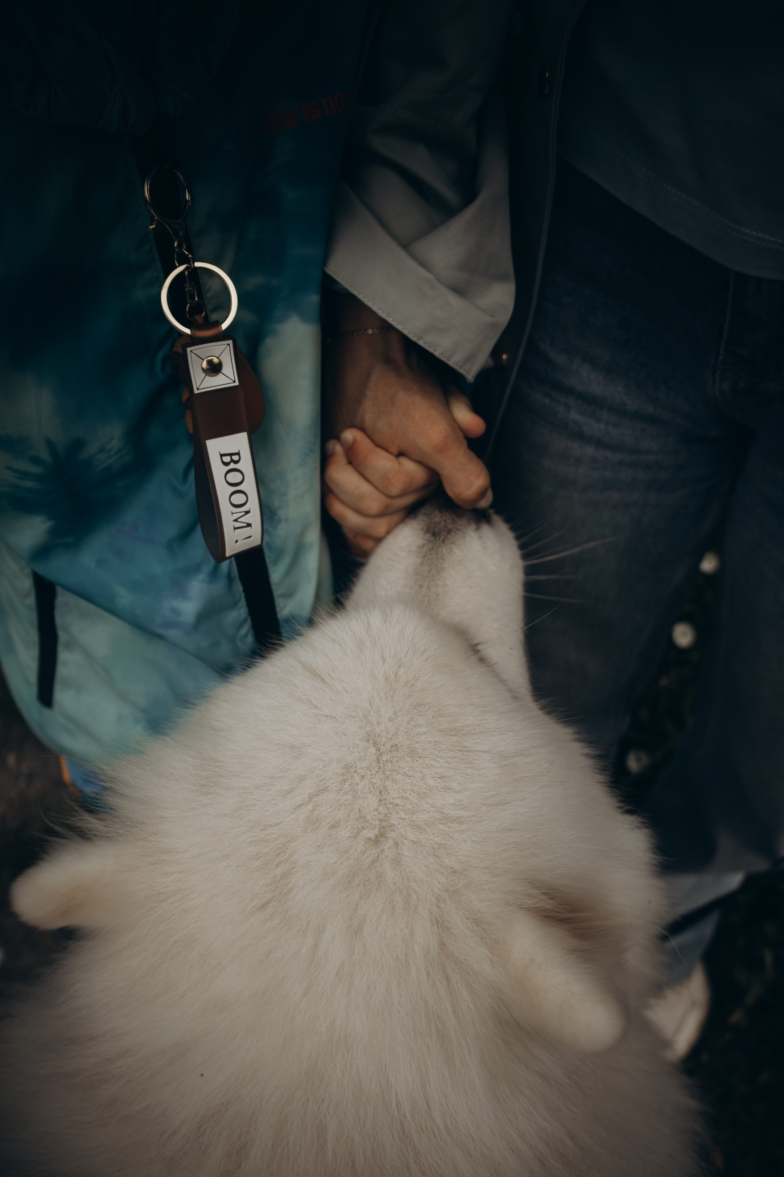 Фотосессия с ребенком и собакой в парке. Фотограф-анималист в Москве Екатерина Тихонова