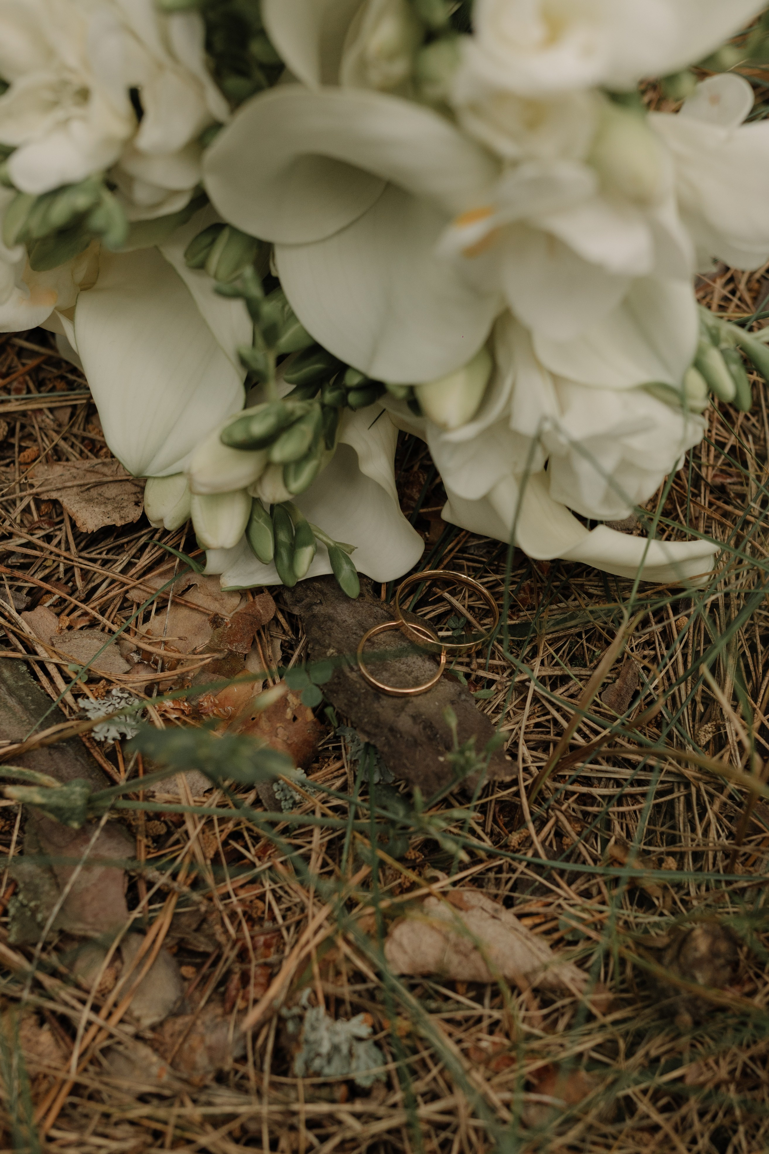 Родион и Валенина. Семейный фотограф в Обнинске