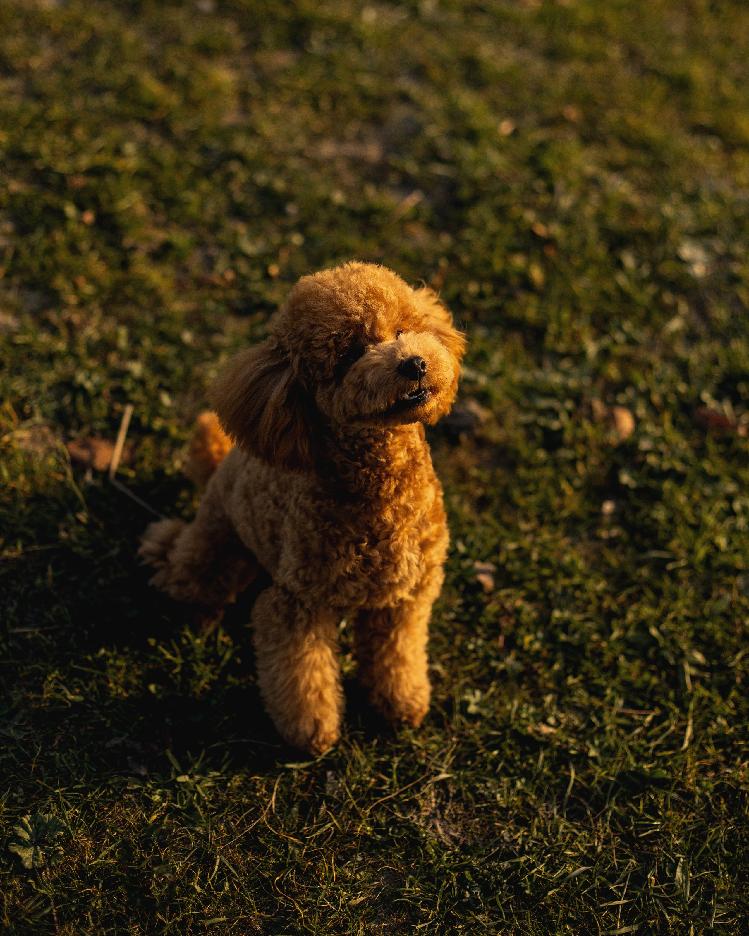 Артём и Анастасия