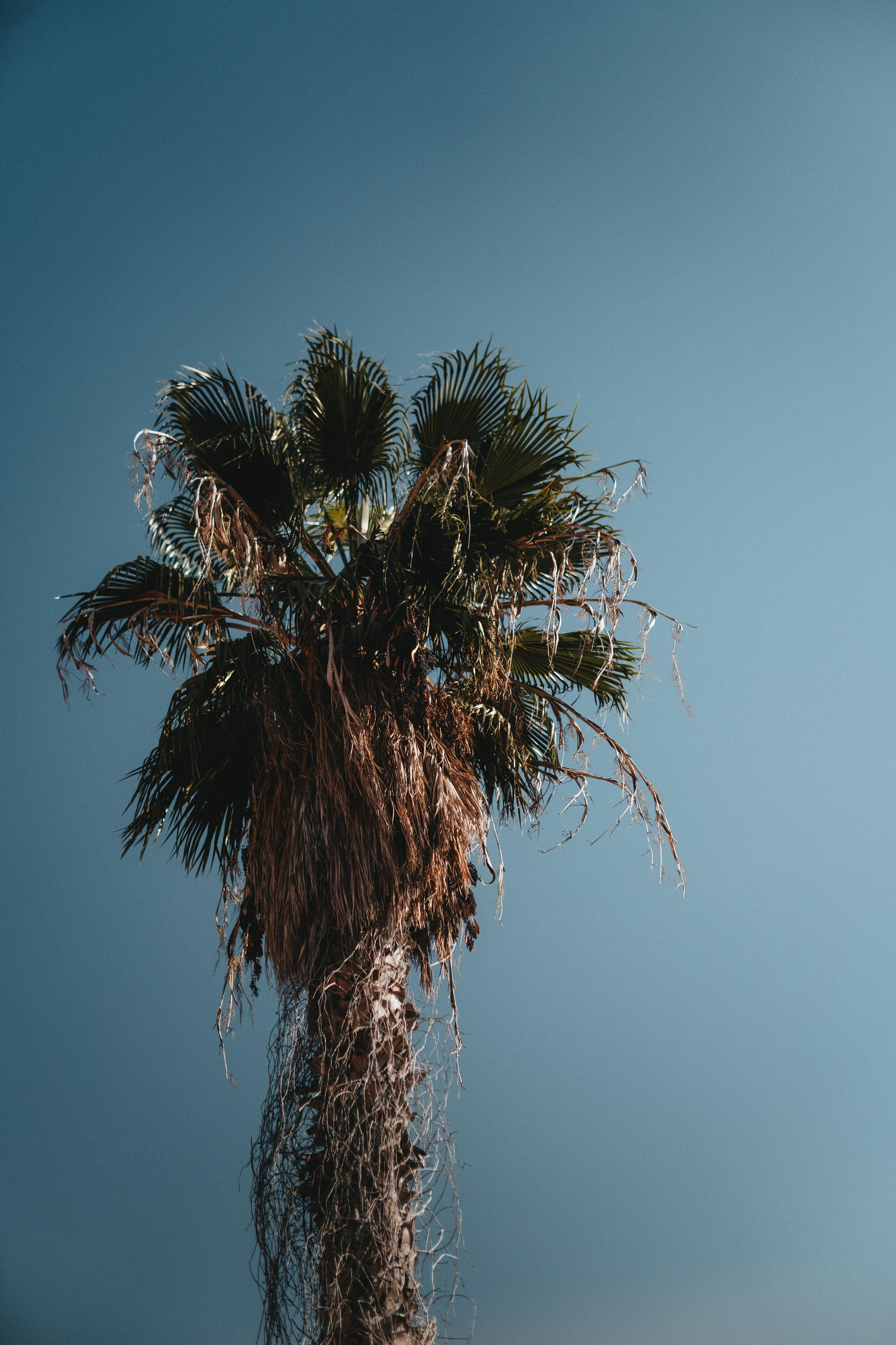 ПЕЙЗАЖ / LANDSCAPE. @oljiofilm: Олег Иванов — фотограф