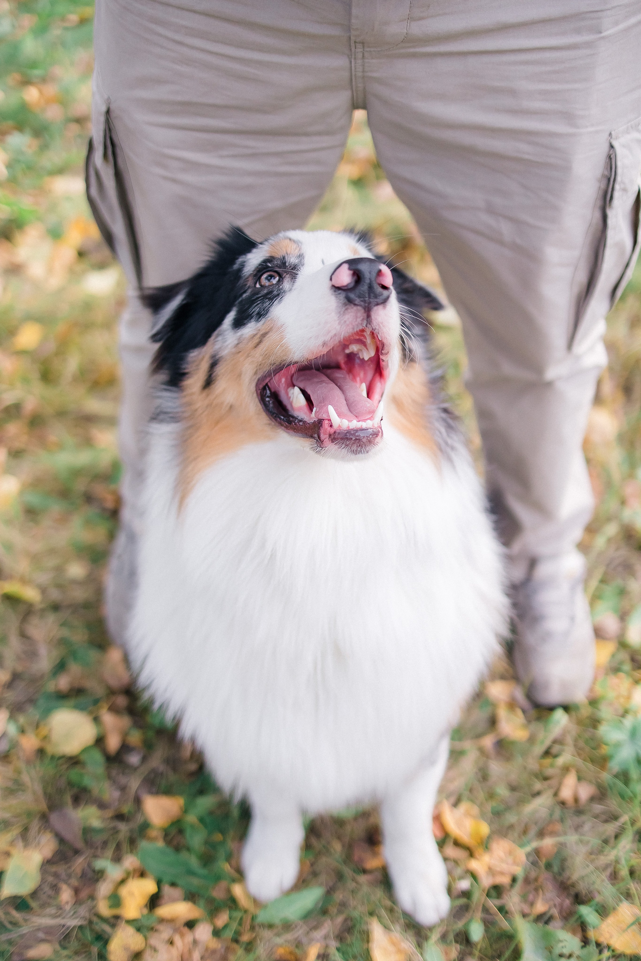 Аусси Дэймон. Свадебный и женский фотограф
