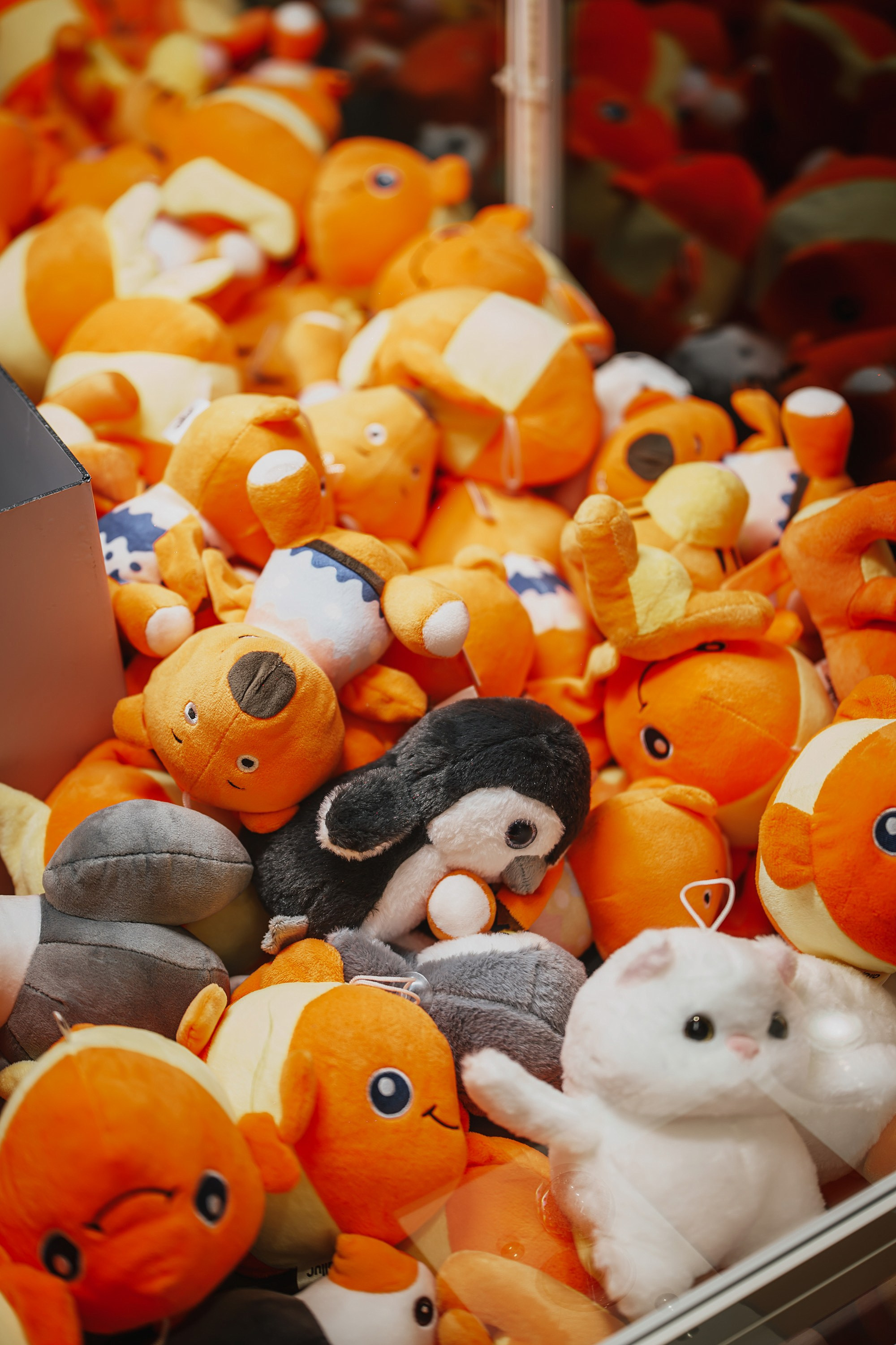 Презентация новых моделей SOUEAST. Фотограф TAULAN_1