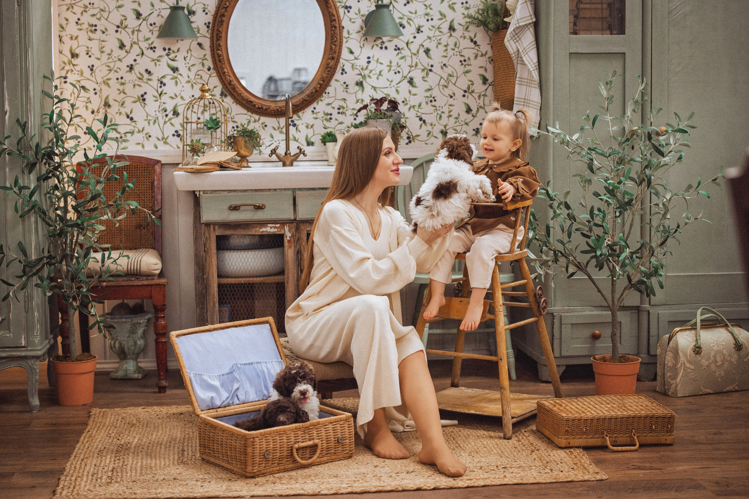 Фотосессия с щенками Лаго́тто-романьо́ло, в Винтажной фотостудии город Краснодар. Семейный и детский фотограф в Краснодаре Анна Трашкова