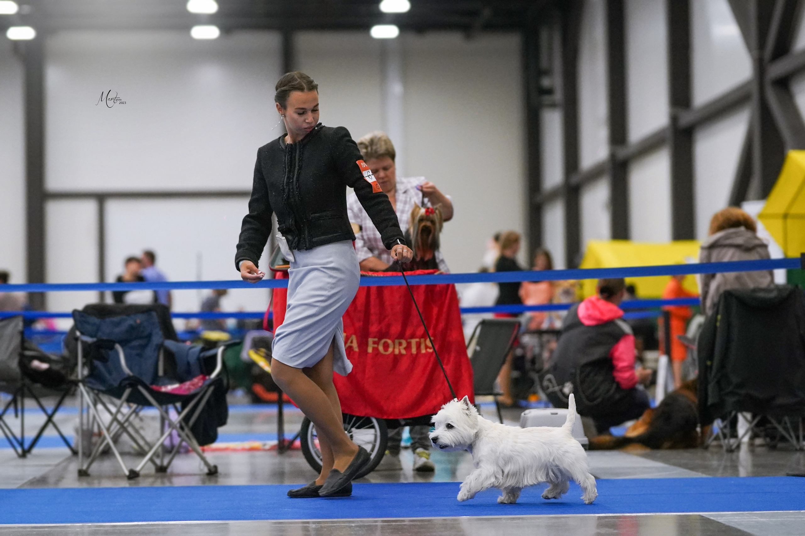 Выставки 2023. Фотограф-анималист в Санкт-Петербурге Яна Мартынова