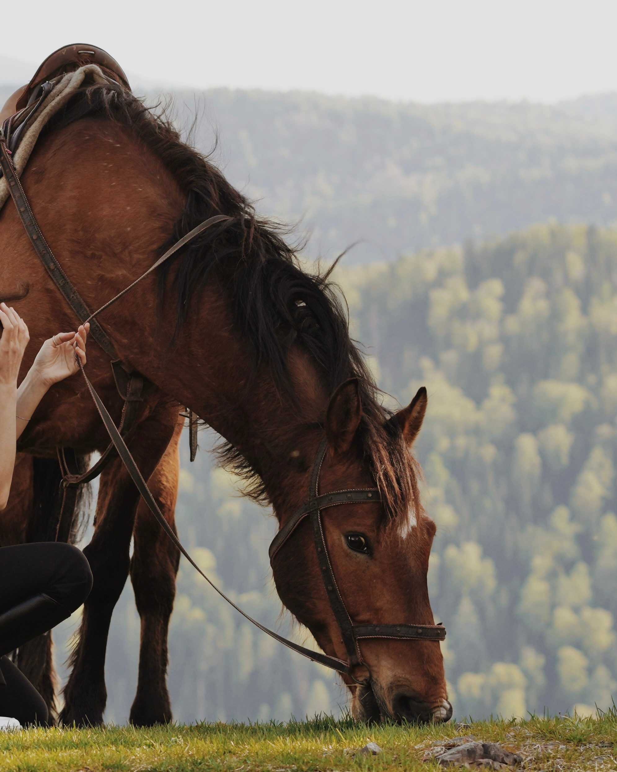 На конной прогулке по Алтаю. Выездной фотограф-видеограф в Республике Алтай Солоны Куюкова