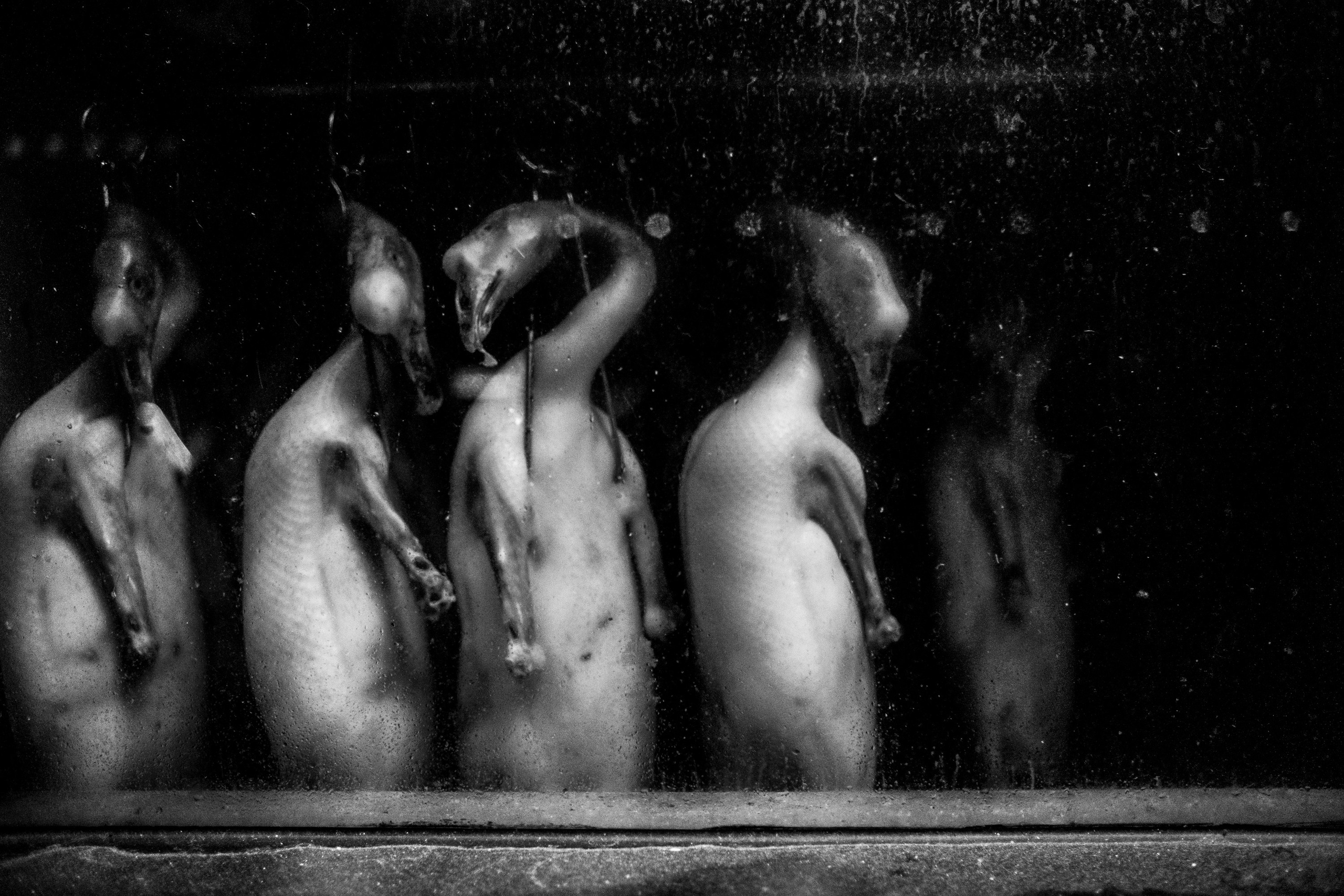 Khanaan Wang-Jingwei