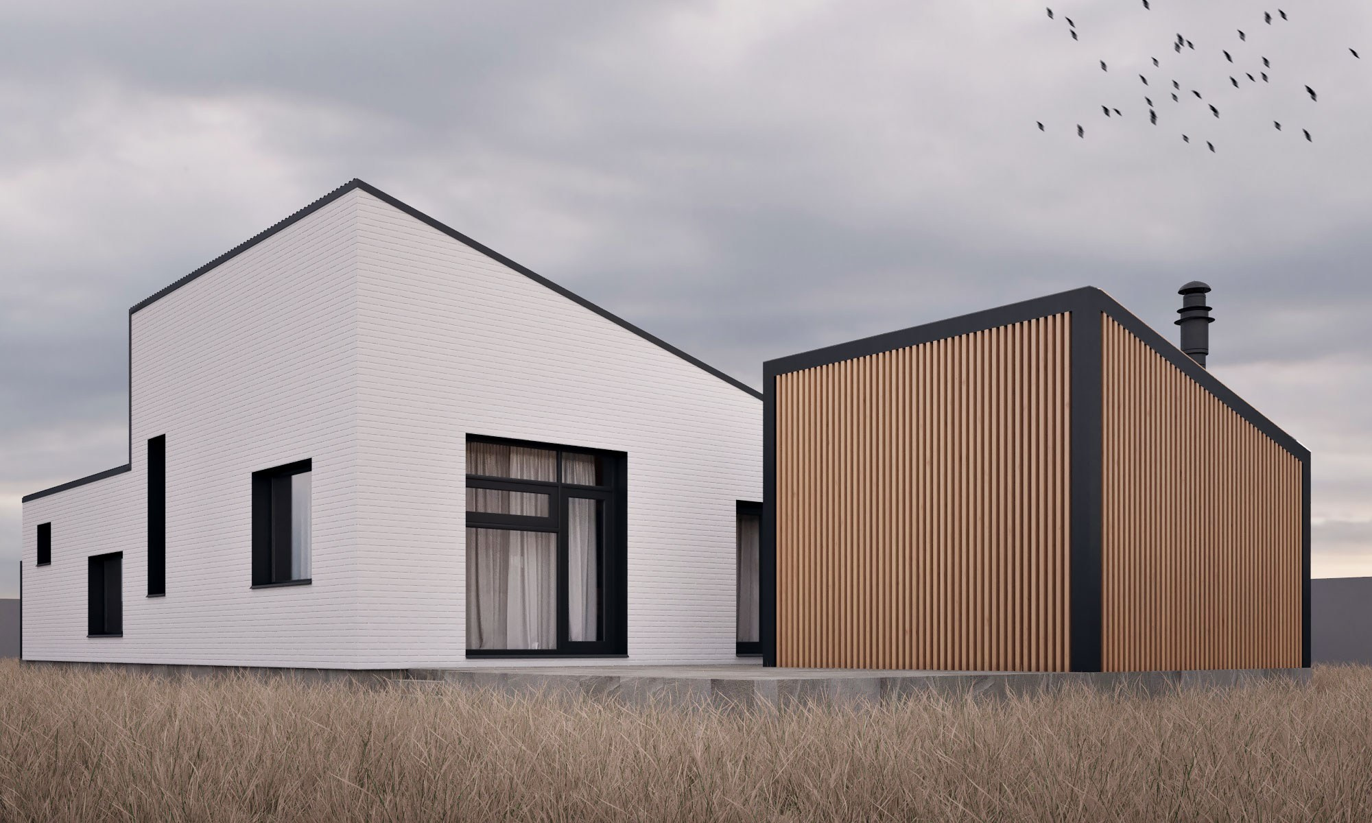 Vost_house. SAAS Селиванов Алексей Архитектурная Студия