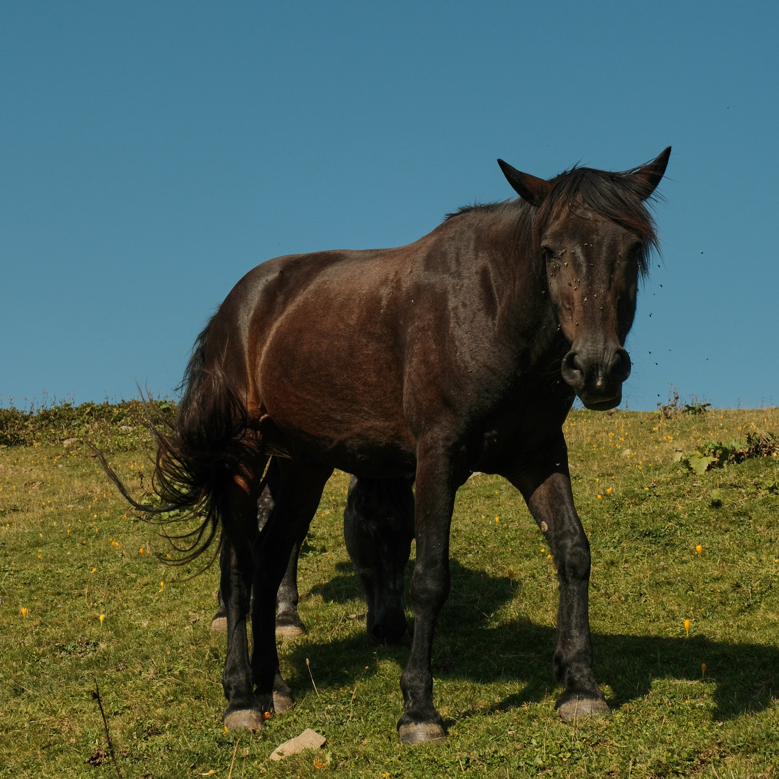 Krasnaya Polyana. Creative travel photographer — Berg Daria