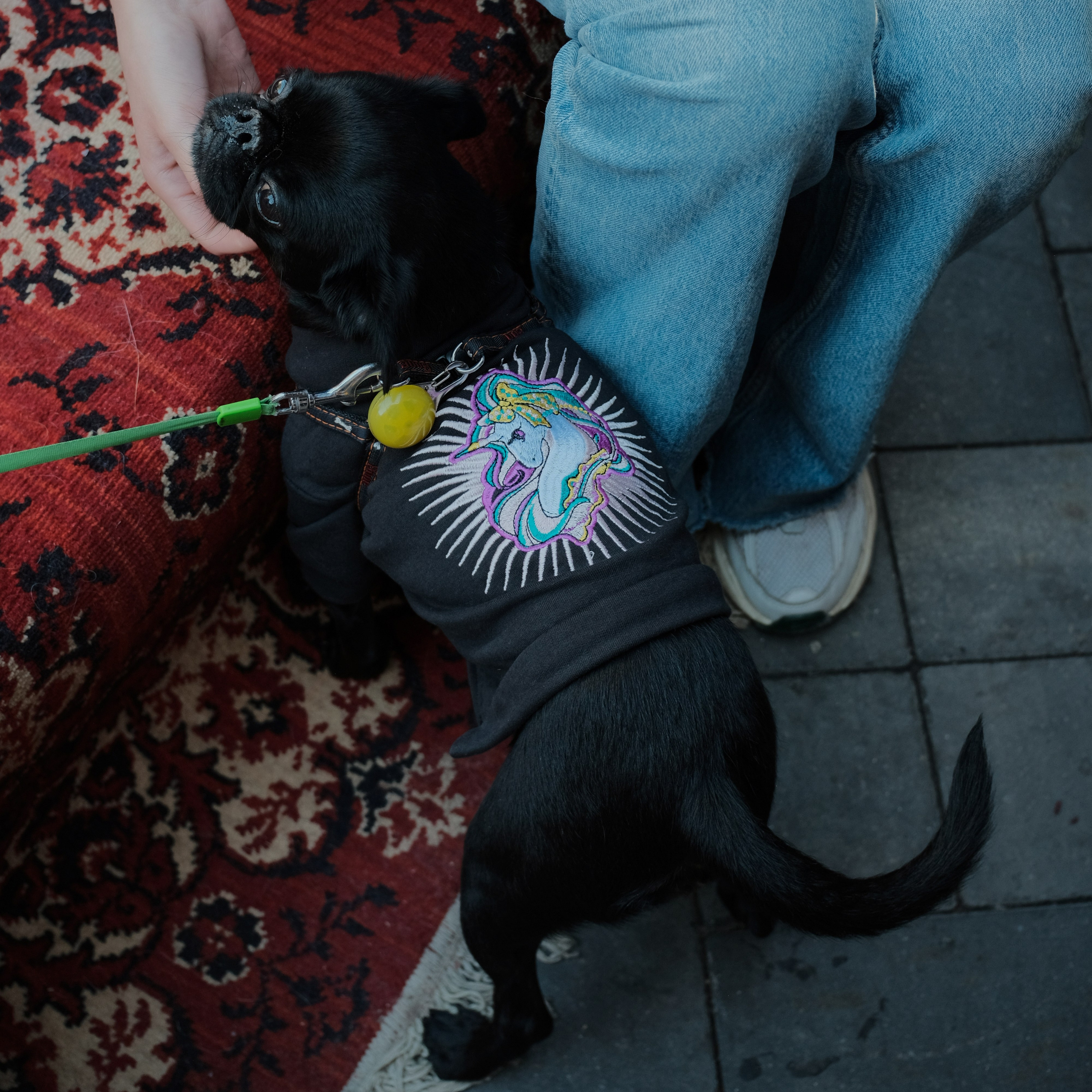 Rostov-on-Don. Creative travel photographer — Berg Daria