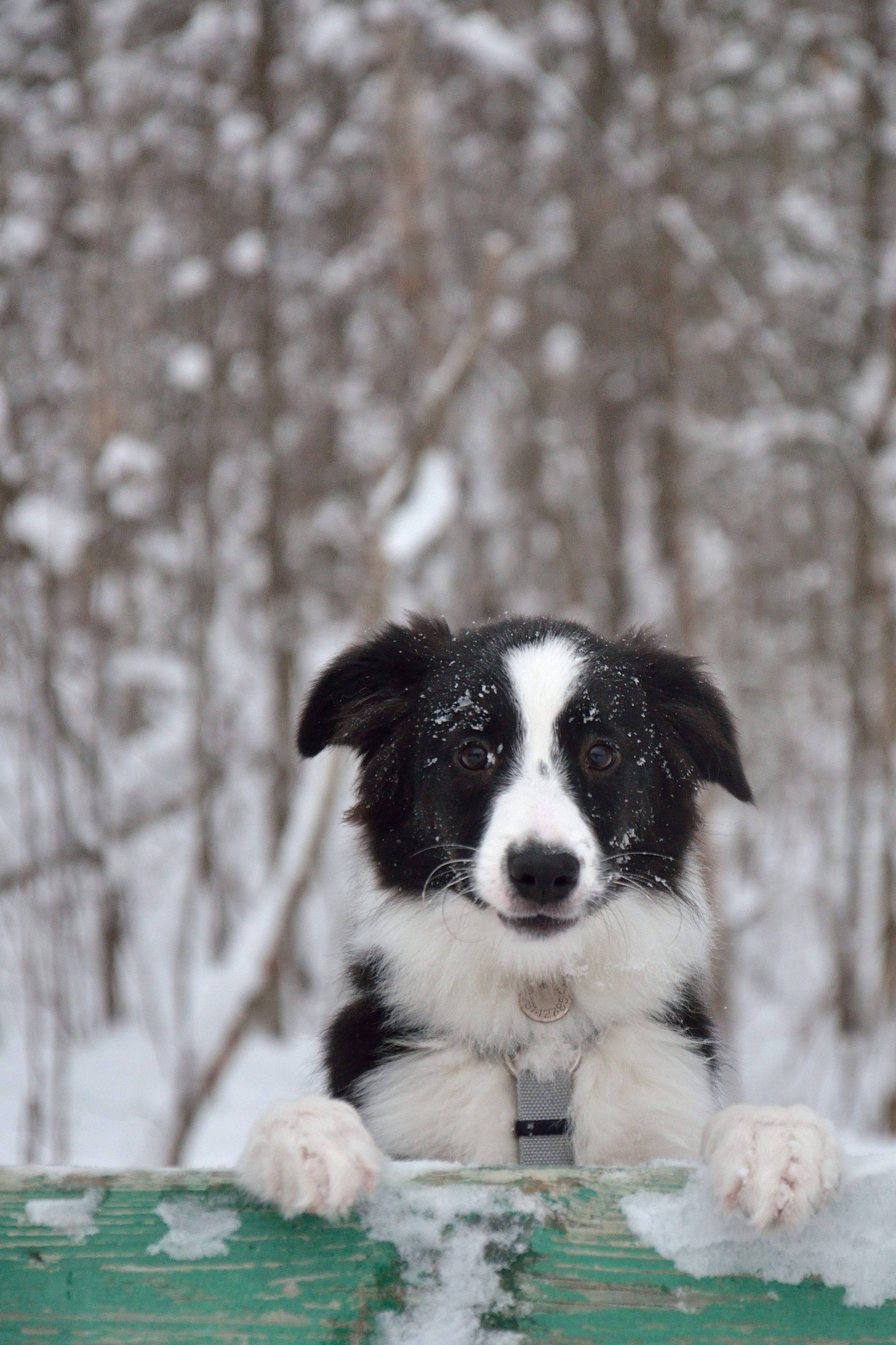 Муня. Добро пожаловать на мой сайт, меня зовут Наталия, я фотограф
