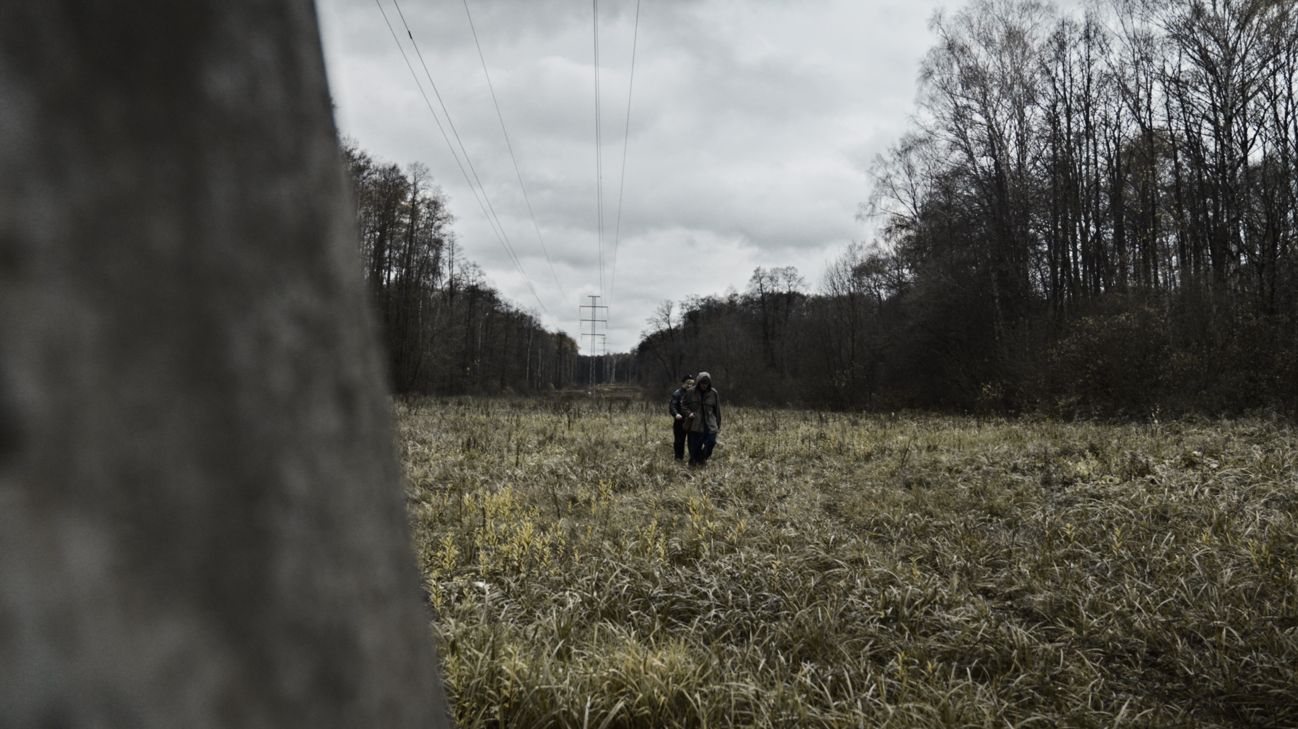 А здесь что?. Колорист Евегений Воронин