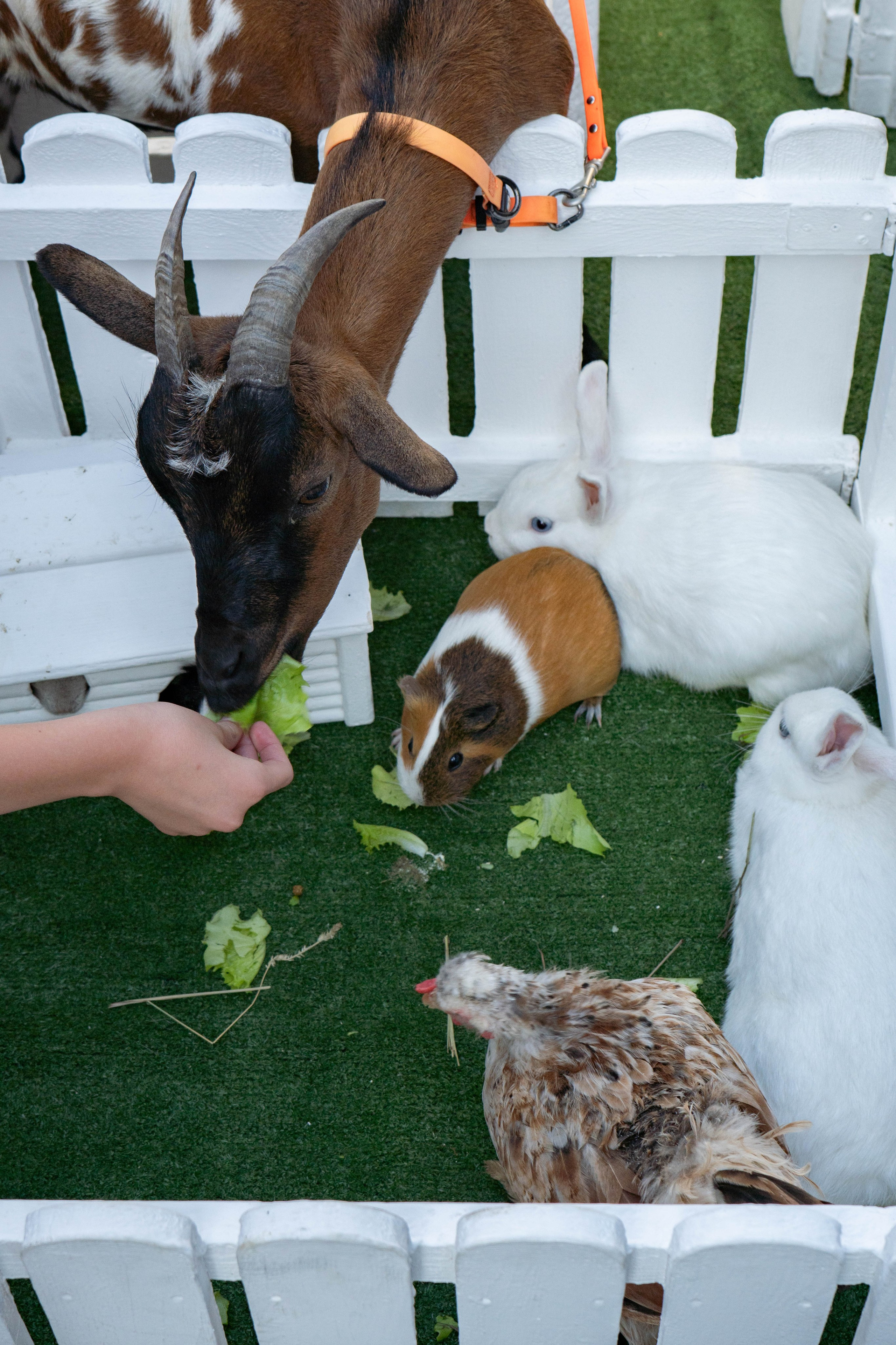 Репортажная съёмка. Фотограф и видеооператор Кривов Павел