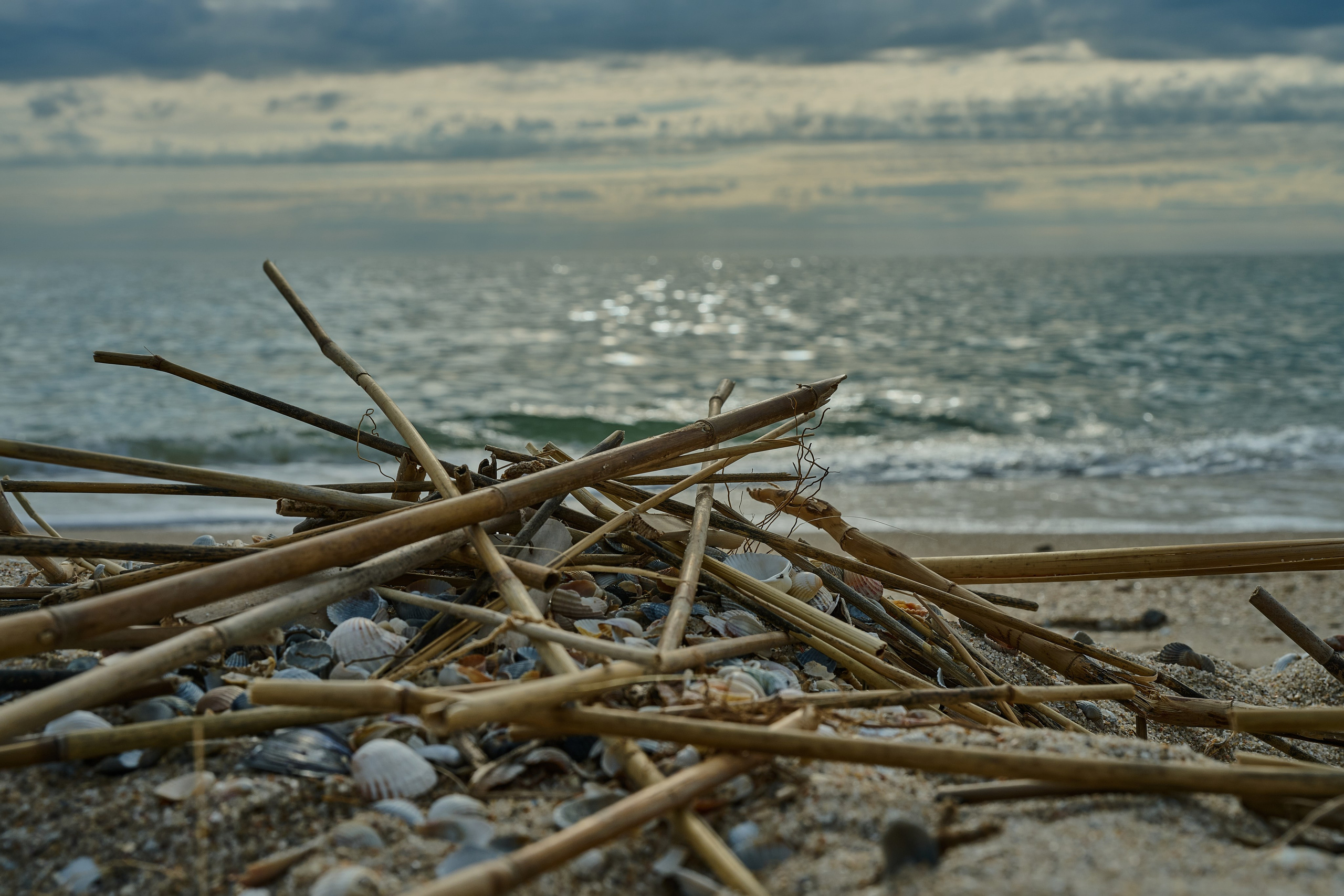 Мелитополь. Фотопроект «Территории»