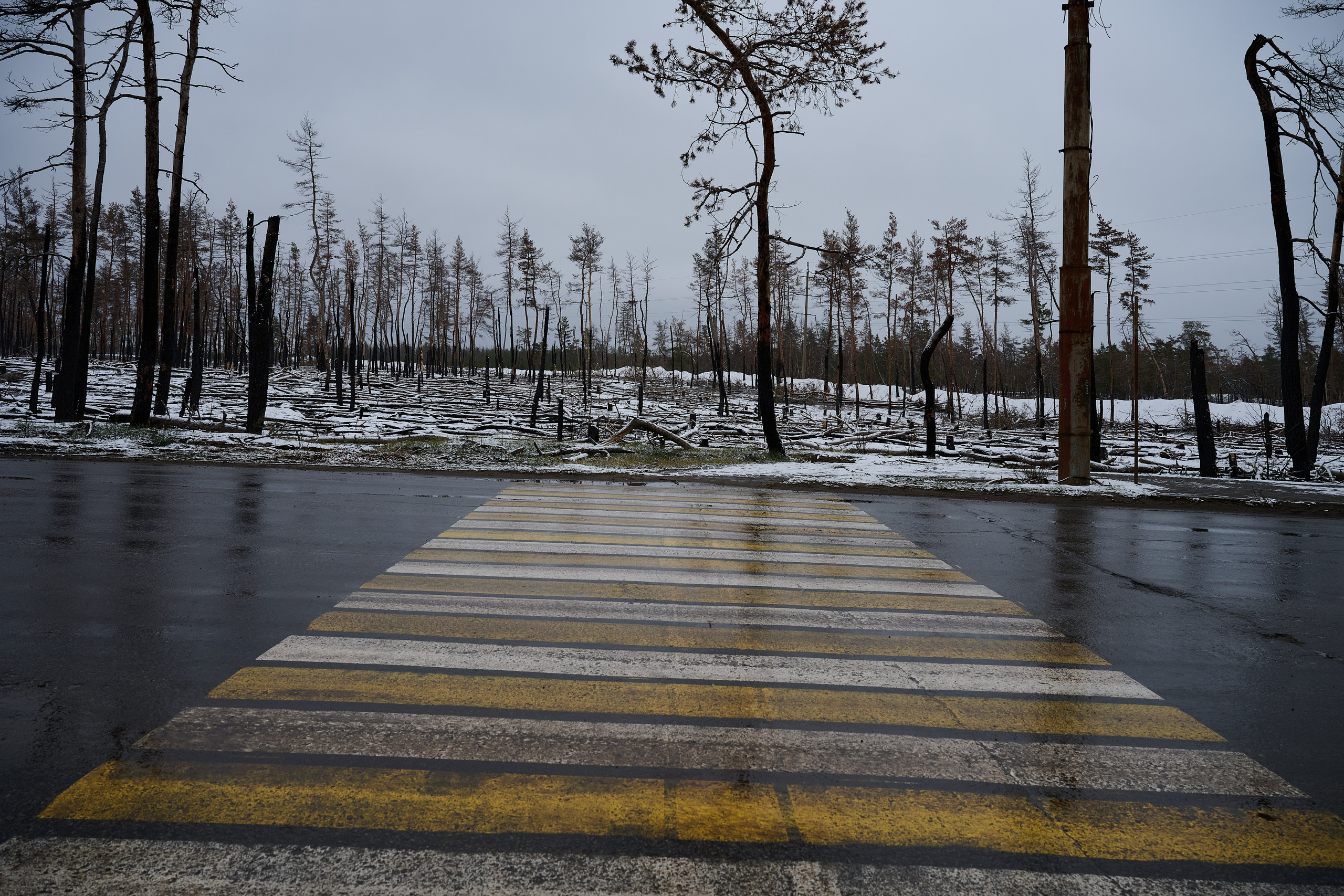 Фото для презентации фотопроекта «Территории». Фотопроект «Территории»