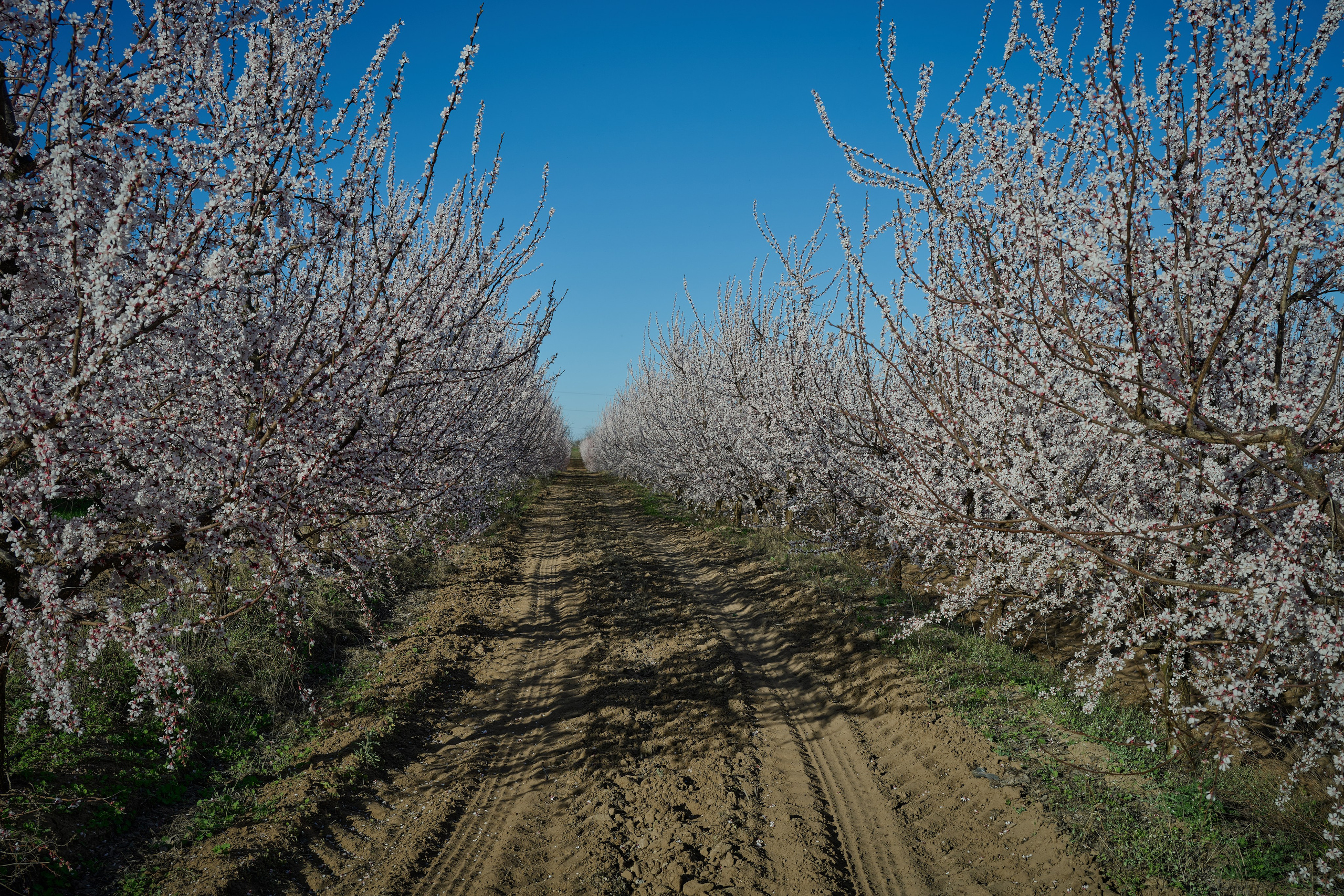 Мелитополь. Фотопроект «Территории»