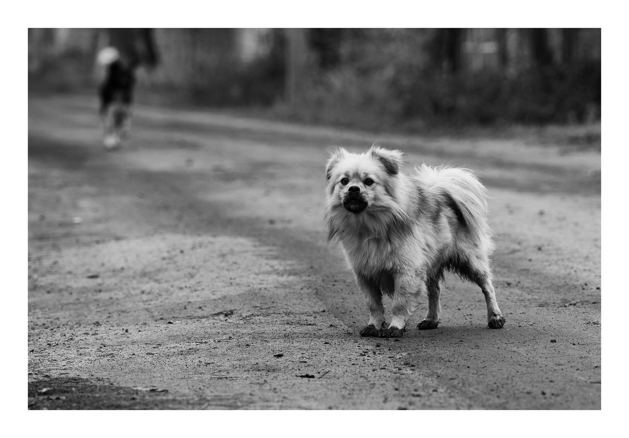 Фотопринты А3. Фотопроект «Территории»