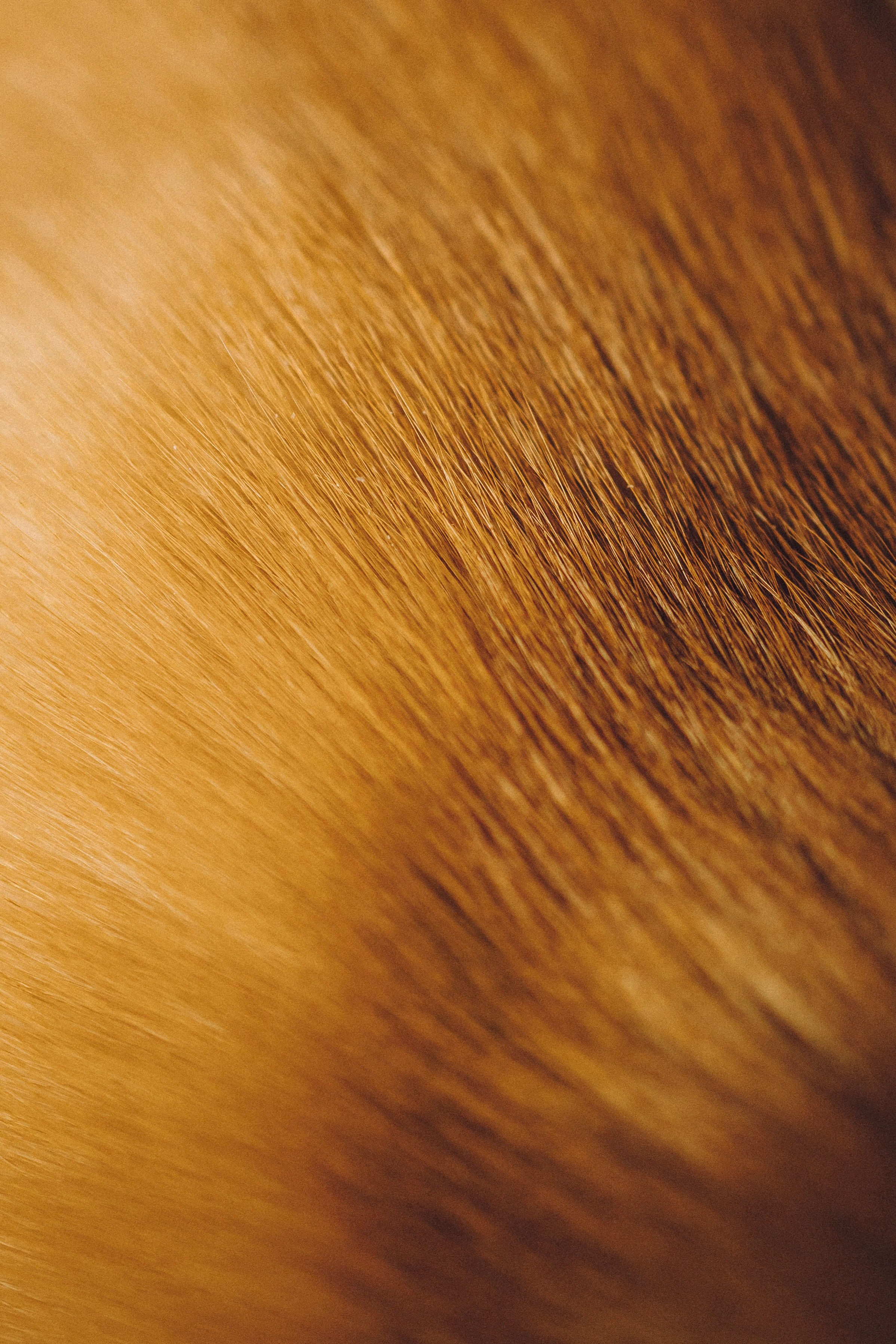 Наталья, Евгений и Мерлин