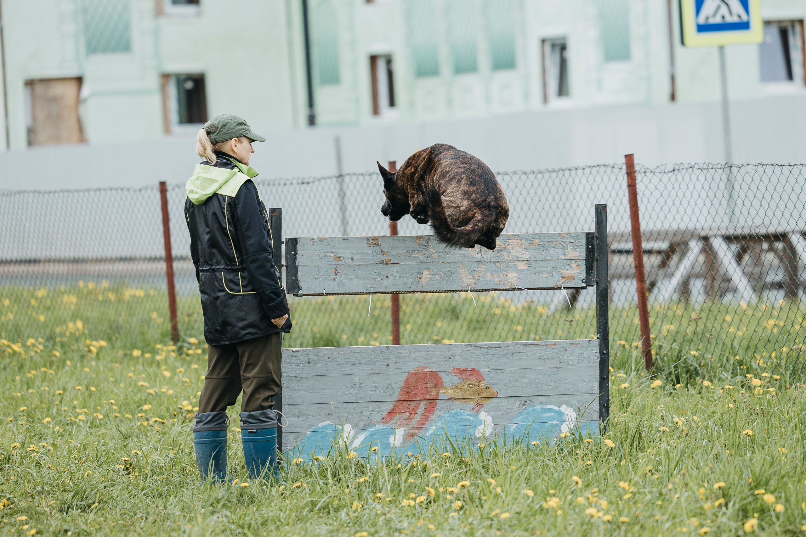 26.05.25 г. Пушкин квалификационные соревнования. Фотограф-анималист Анна Маринич
