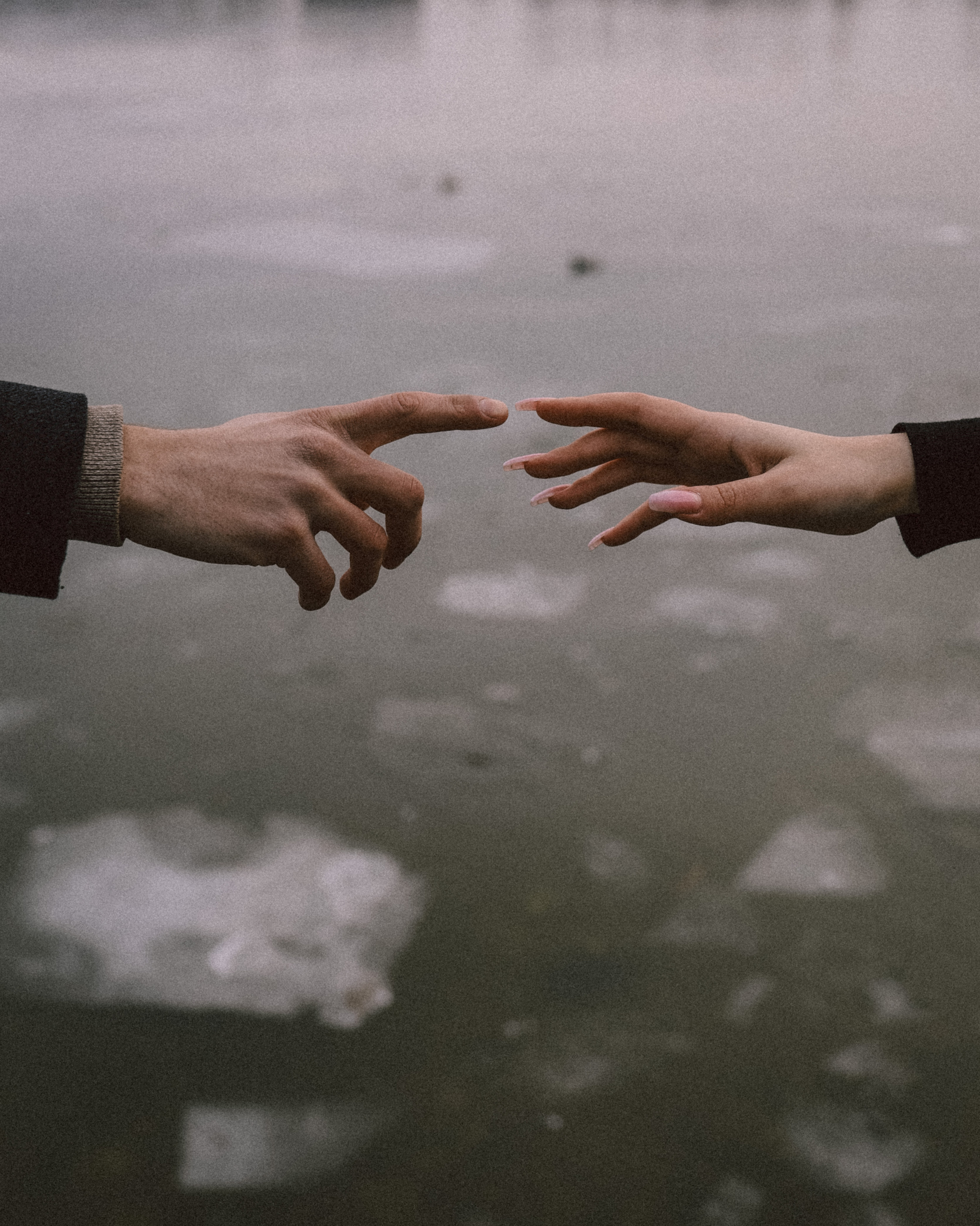 Виолетта и Максим. Даша Царёва, фотограф в Ростове-на-Дону