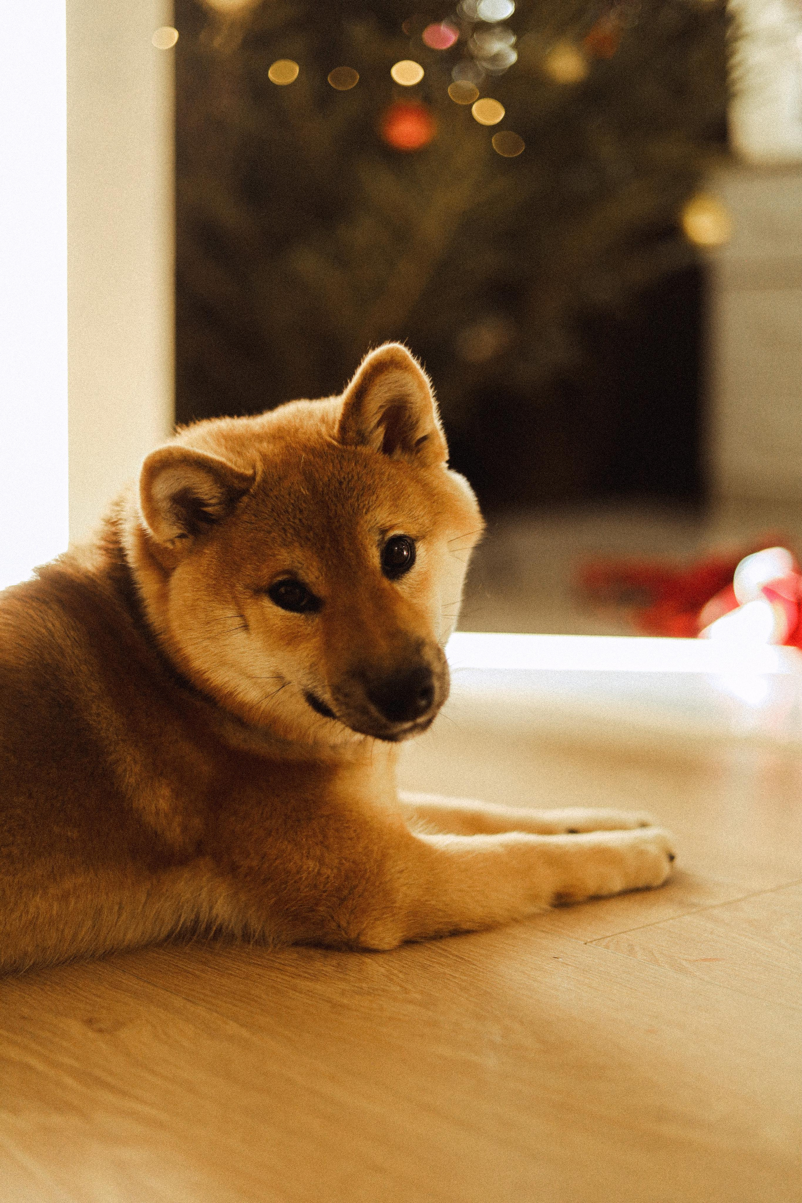 Вика и Сережа. Даша Царёва, фотограф в Ростове-на-Дону