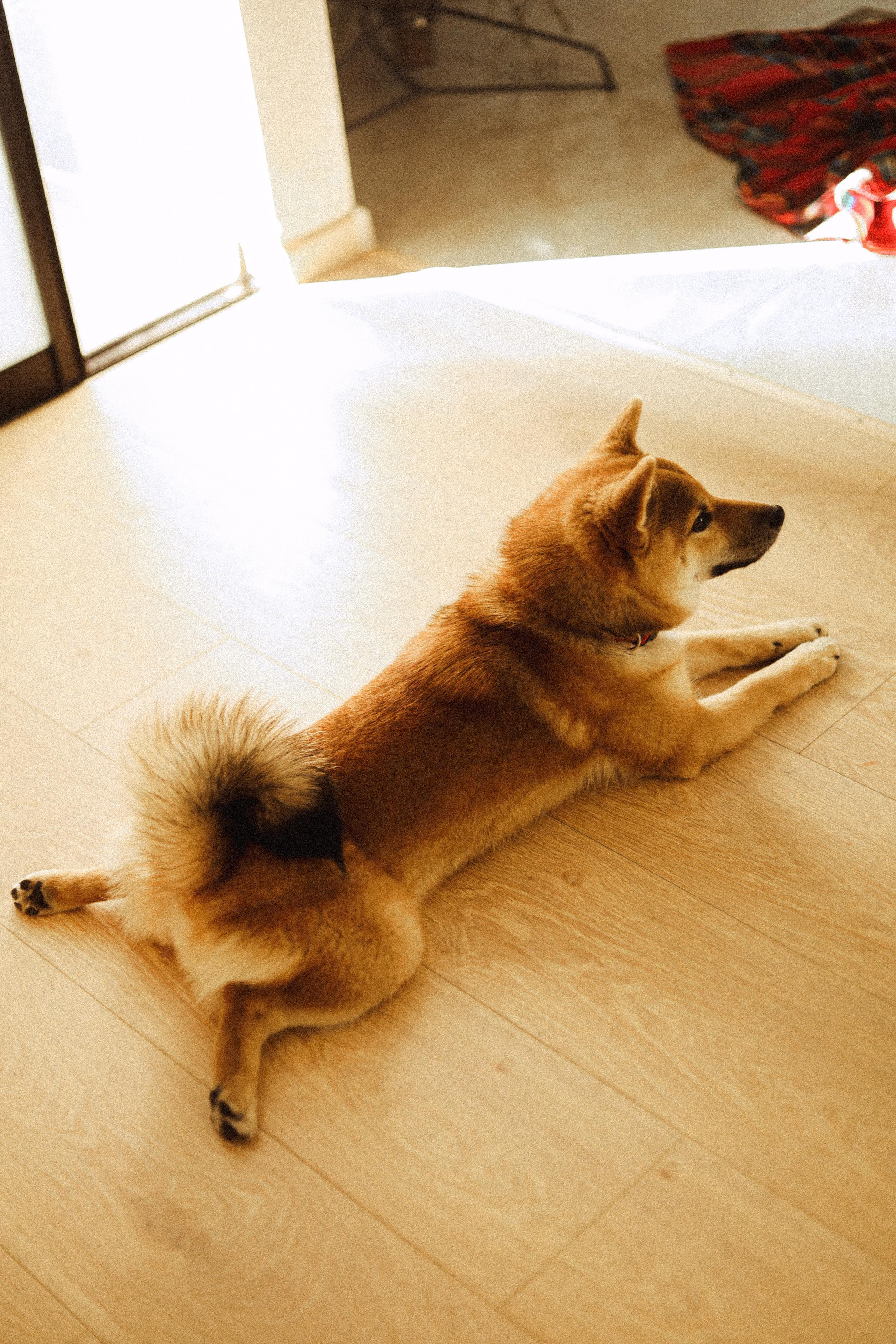 Вика и Сережа. Даша Царёва, фотограф в Ростове-на-Дону