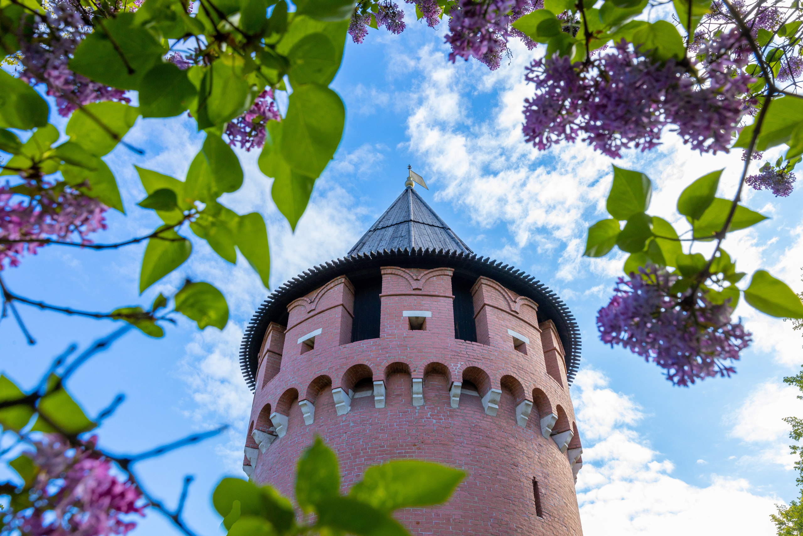 Весеннее цветение в Туле. Фотограф в Туле Крупский АнДРей. Фотостудия «КАДР71» в Туле