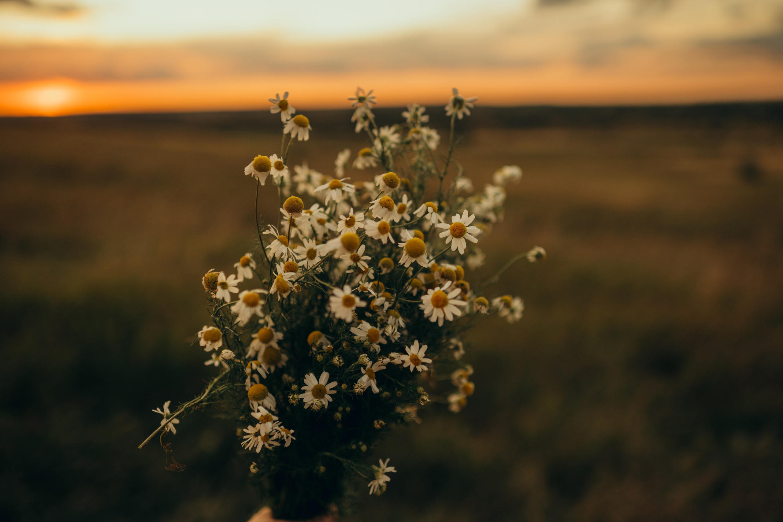 Даша Даня Ксюша Илья Саша и Ева. Свадебный и семейный фотограф в Самаре Головань Наталья
