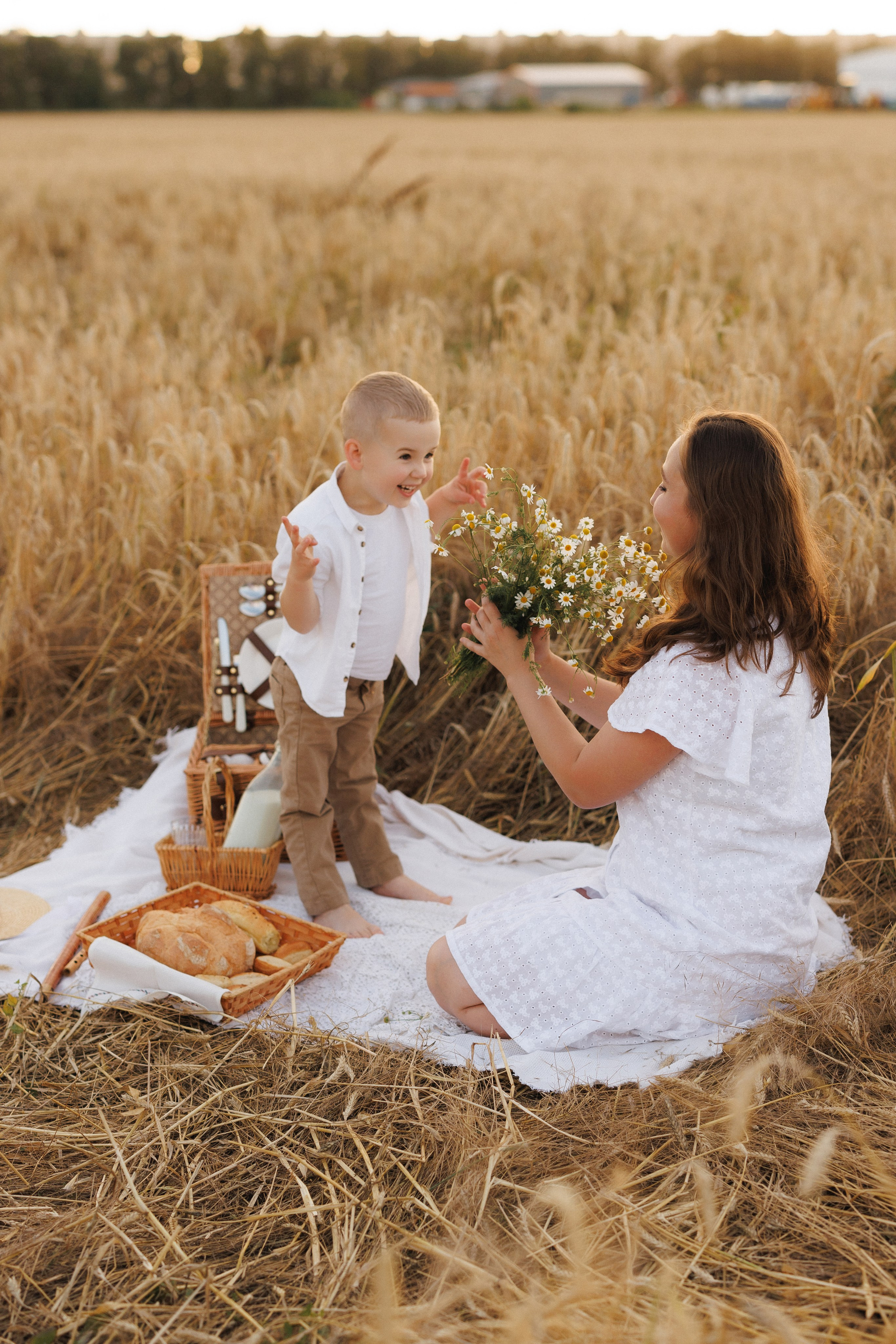 Пшеничное поле, семьи. Семейный и детский фотограф в Краснодаре Анна Трашкова
