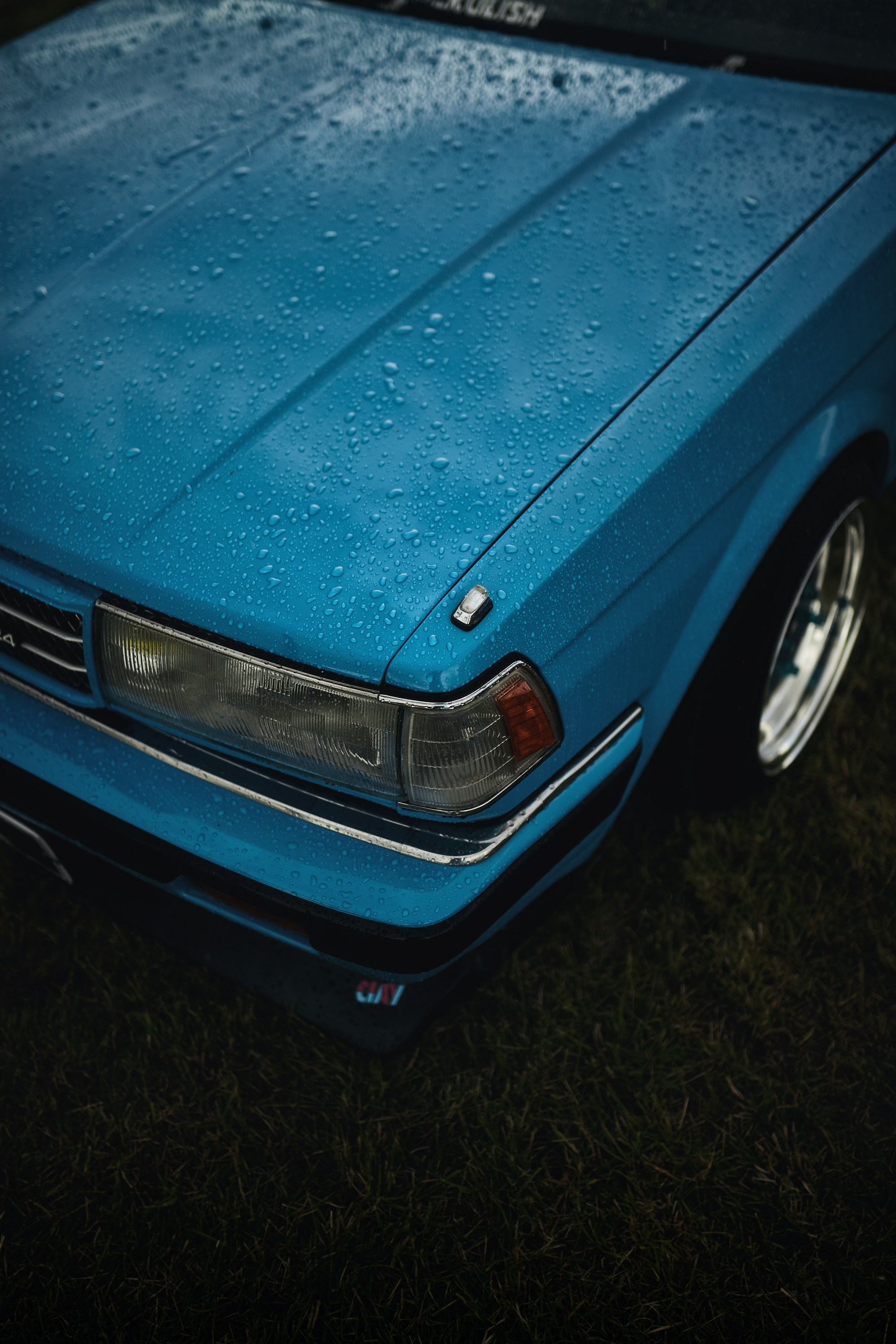 Random Fest. DKARPOCHEVA PHOTOGRAPHY