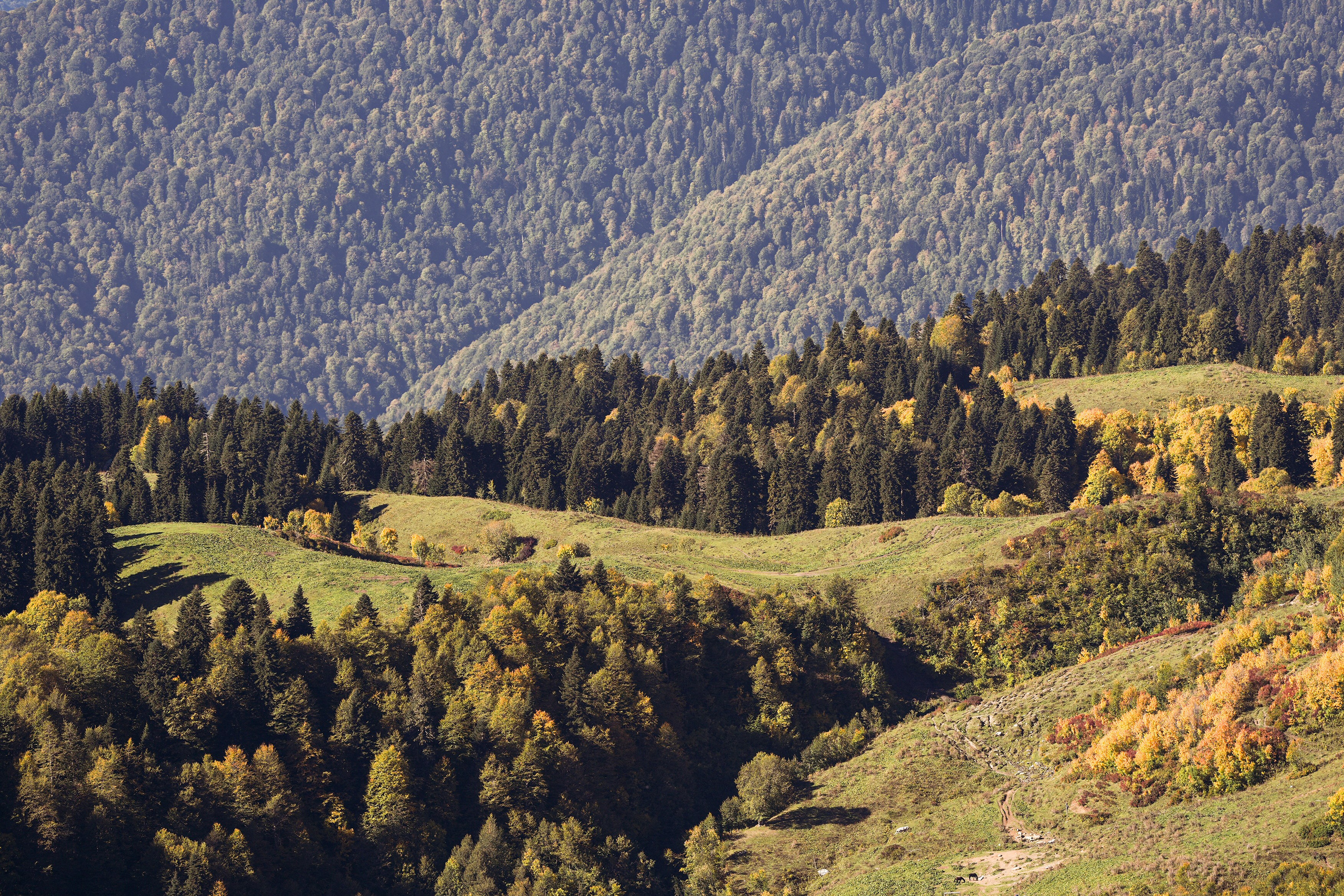 Ыаывы. Репортажный фотограф в Красной Поляне и Сочи Павлюченко Екатерина