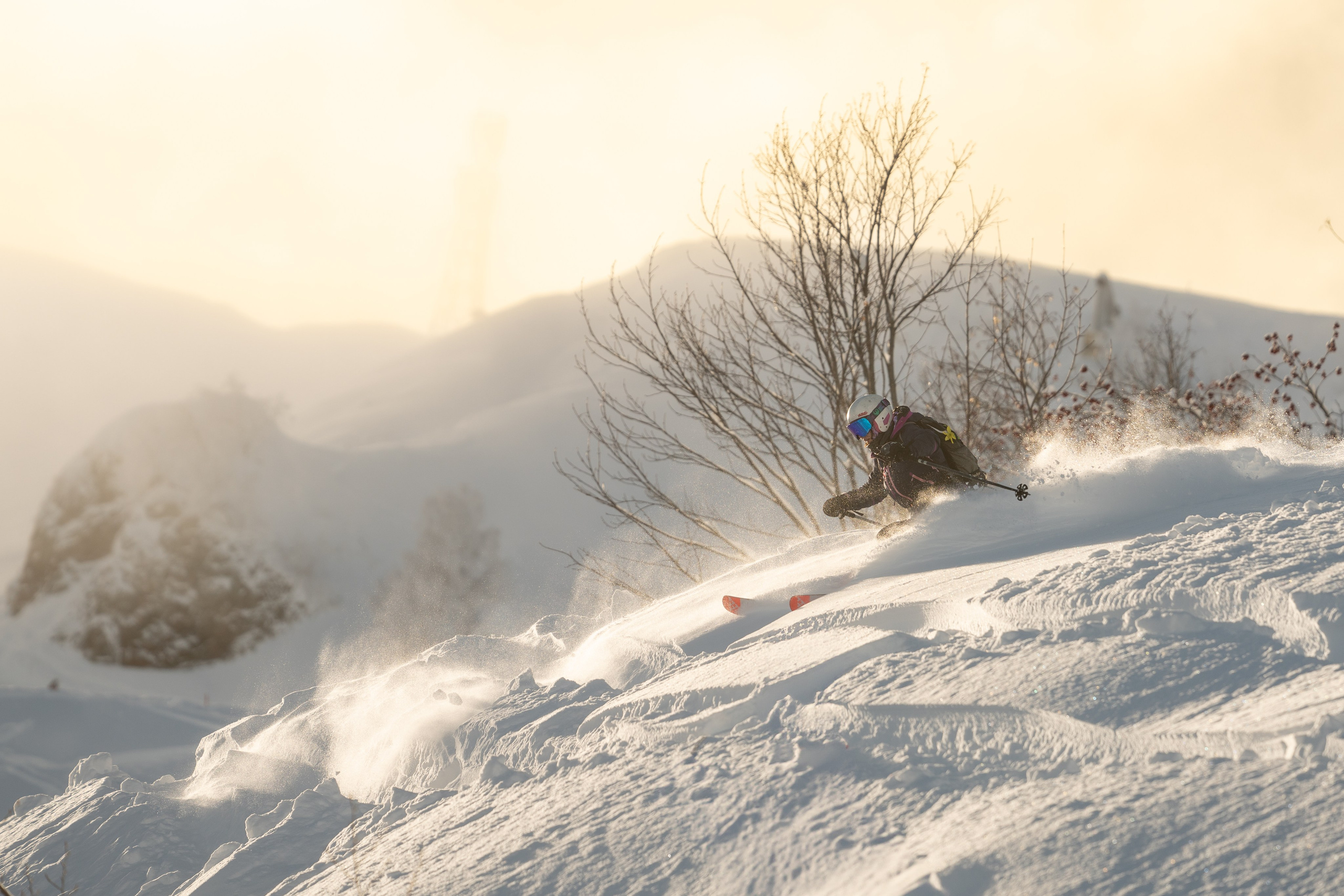 Внетрассовое катание в рамках фрирайд кэмпа с Еленой Ануфриковой. Репортажный фотограф в Красной Поляне и Сочи Павлюченко Екатерина