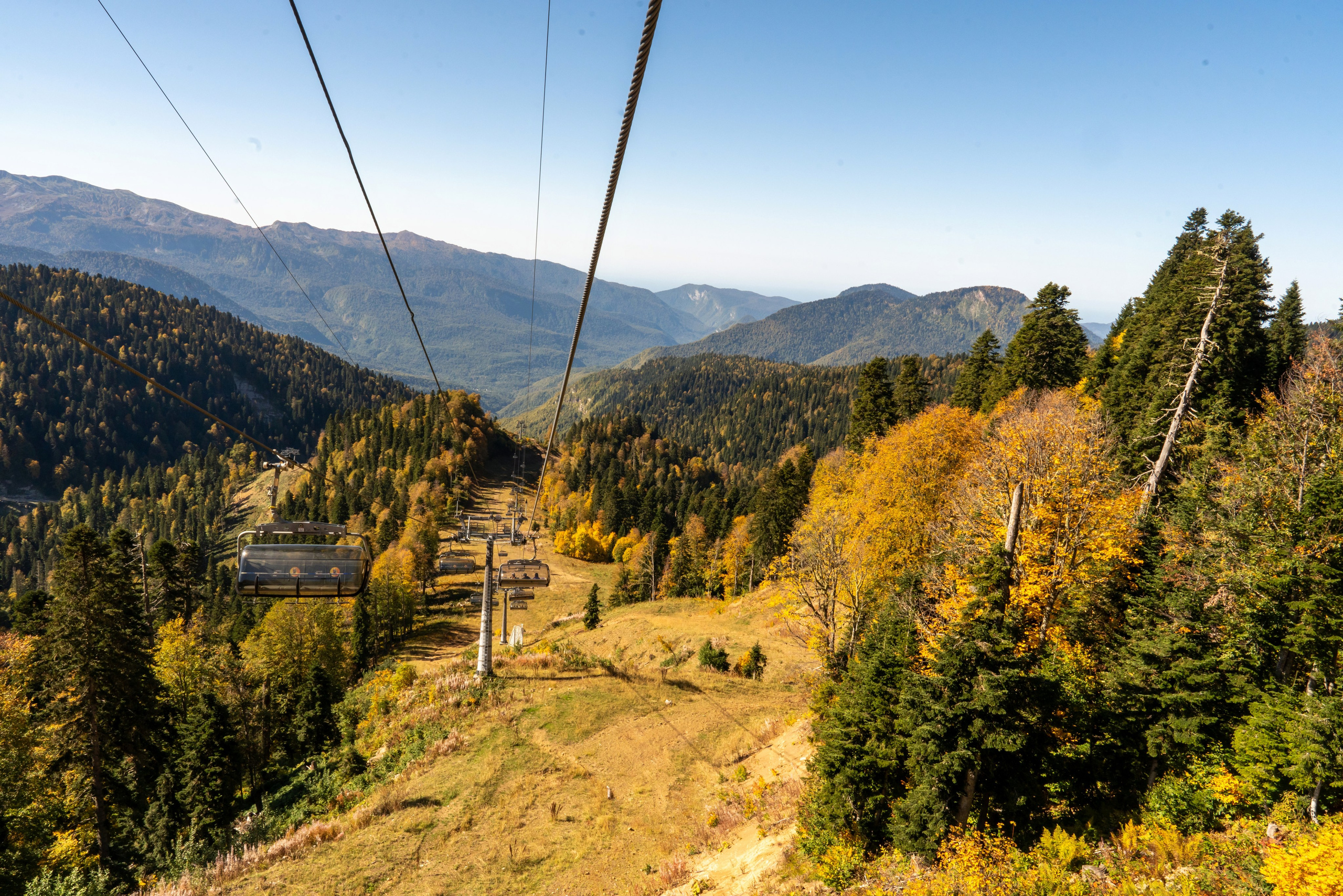 ChinaRosaFest 2024. Репортажный фотограф в Красной Поляне и Сочи Павлюченко Екатерина