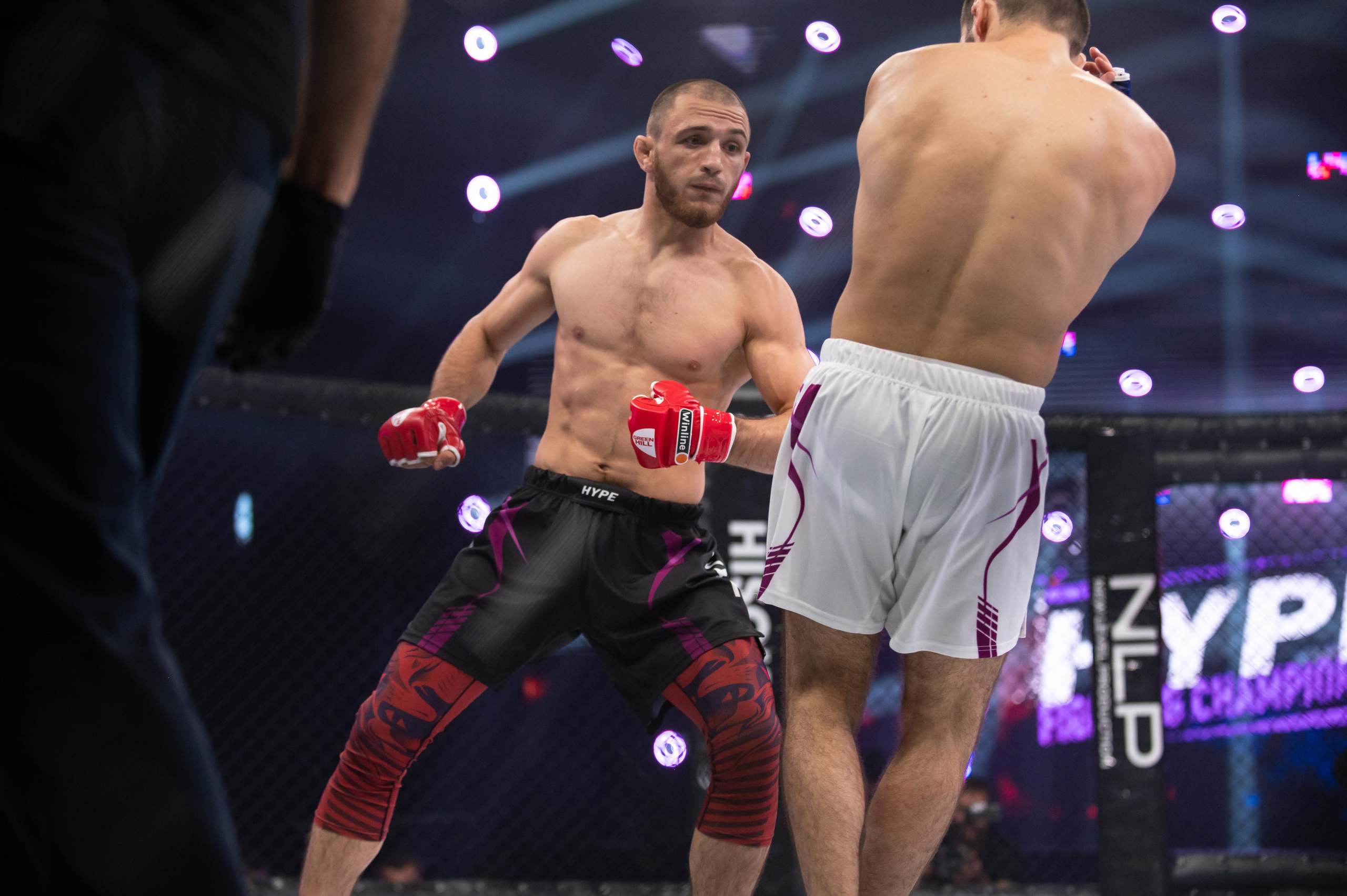 Бои. Репортажный фотограф в Красной Поляне и Сочи Павлюченко Екатерина