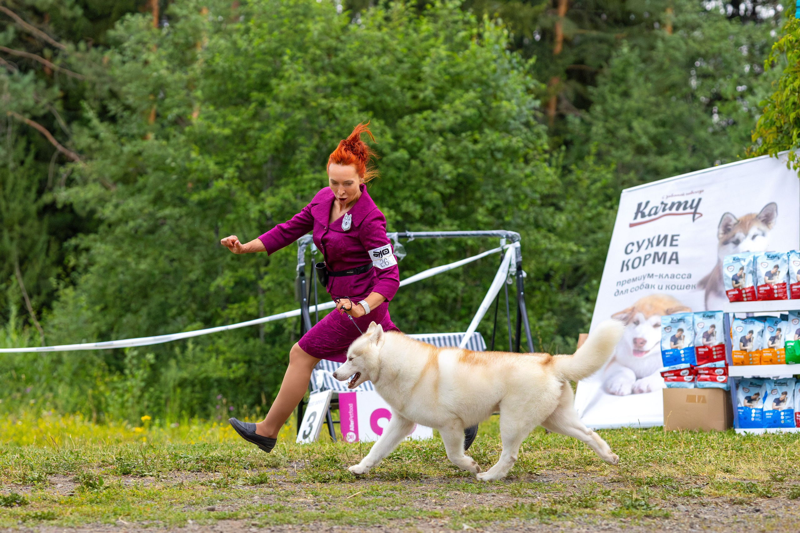 Собаки. Фотограф Яна Матвеева в Ижевске