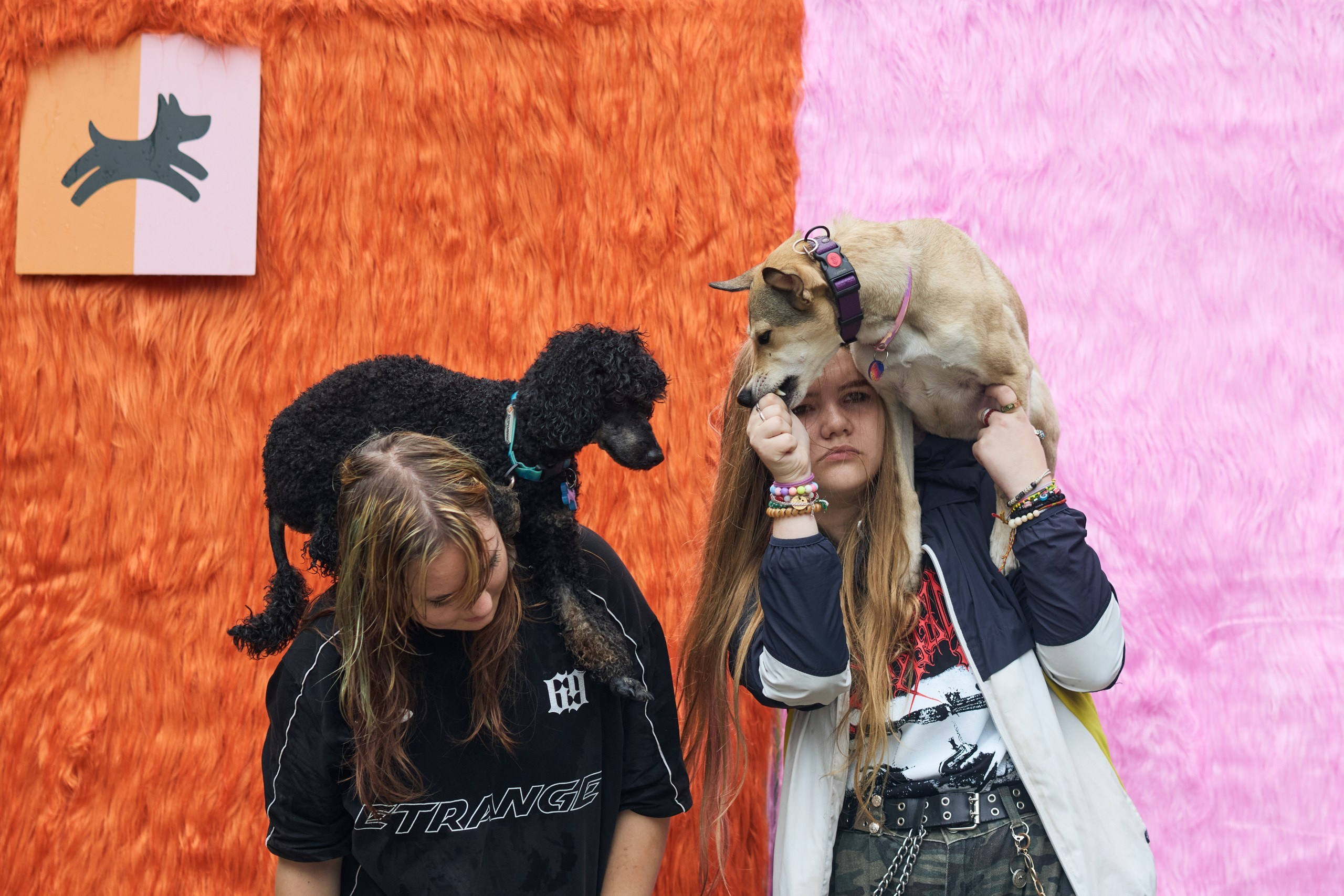 Четыре Лапы. Свадебный и репортажный фотограф Дмитрий Кононенко