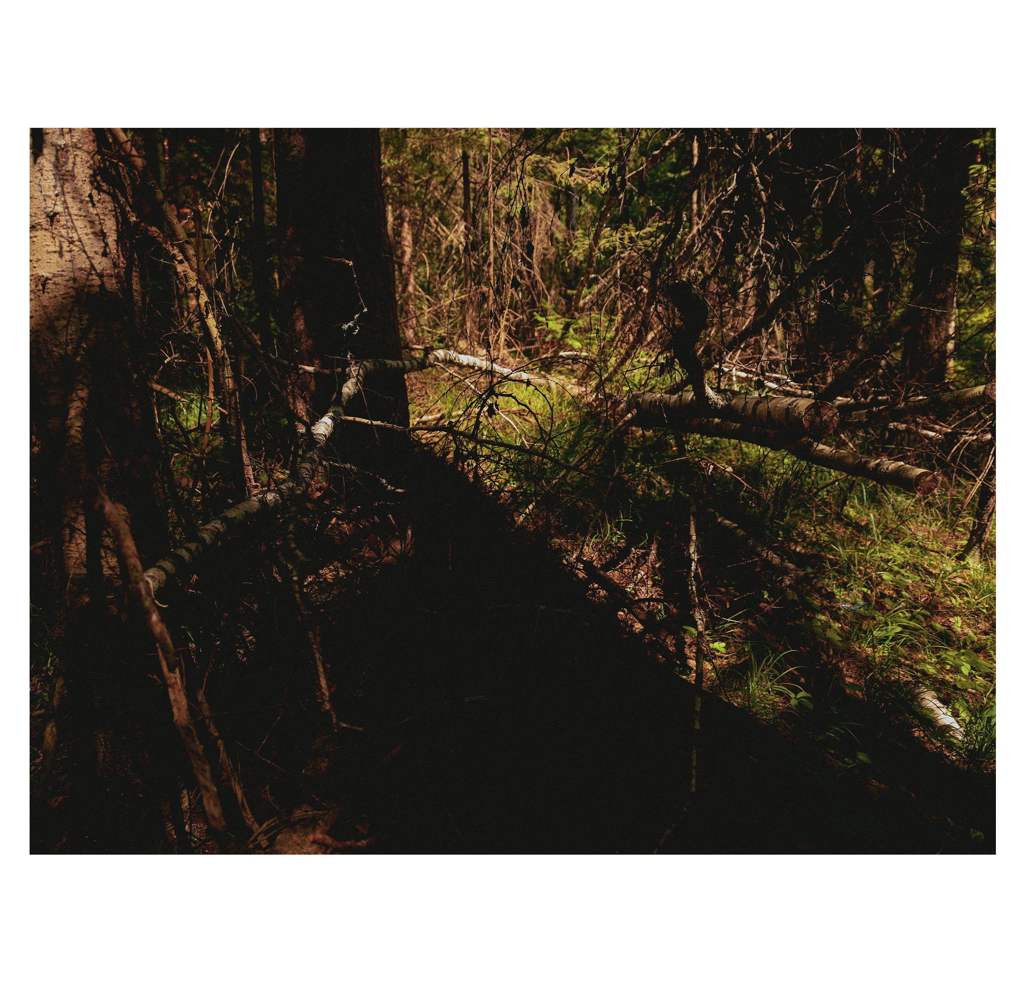 Summer hike. Фотограф/дизайнер в Екатеринбурге Хитрый Дмитрий