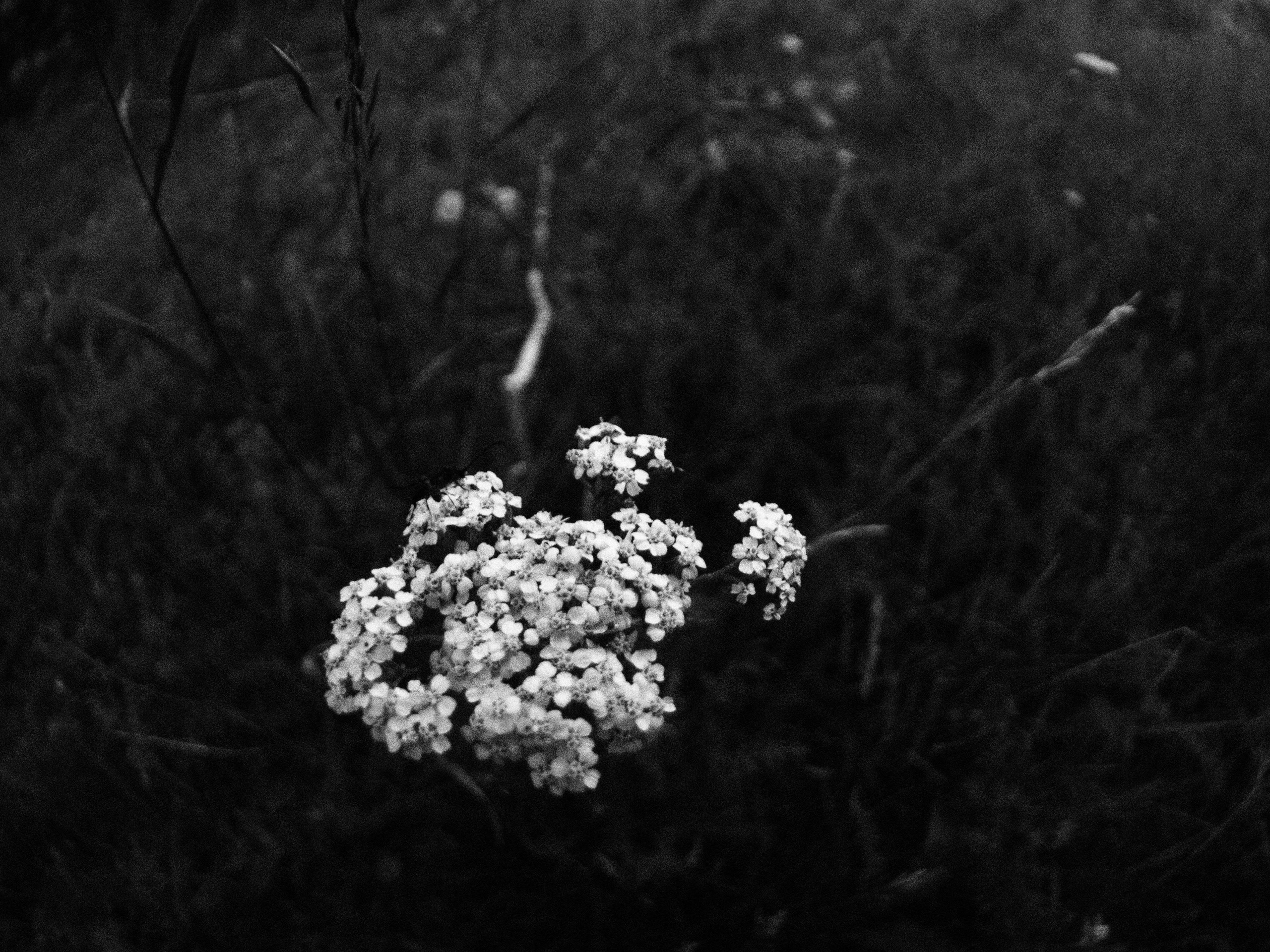 Промежуточные моменты (2023)