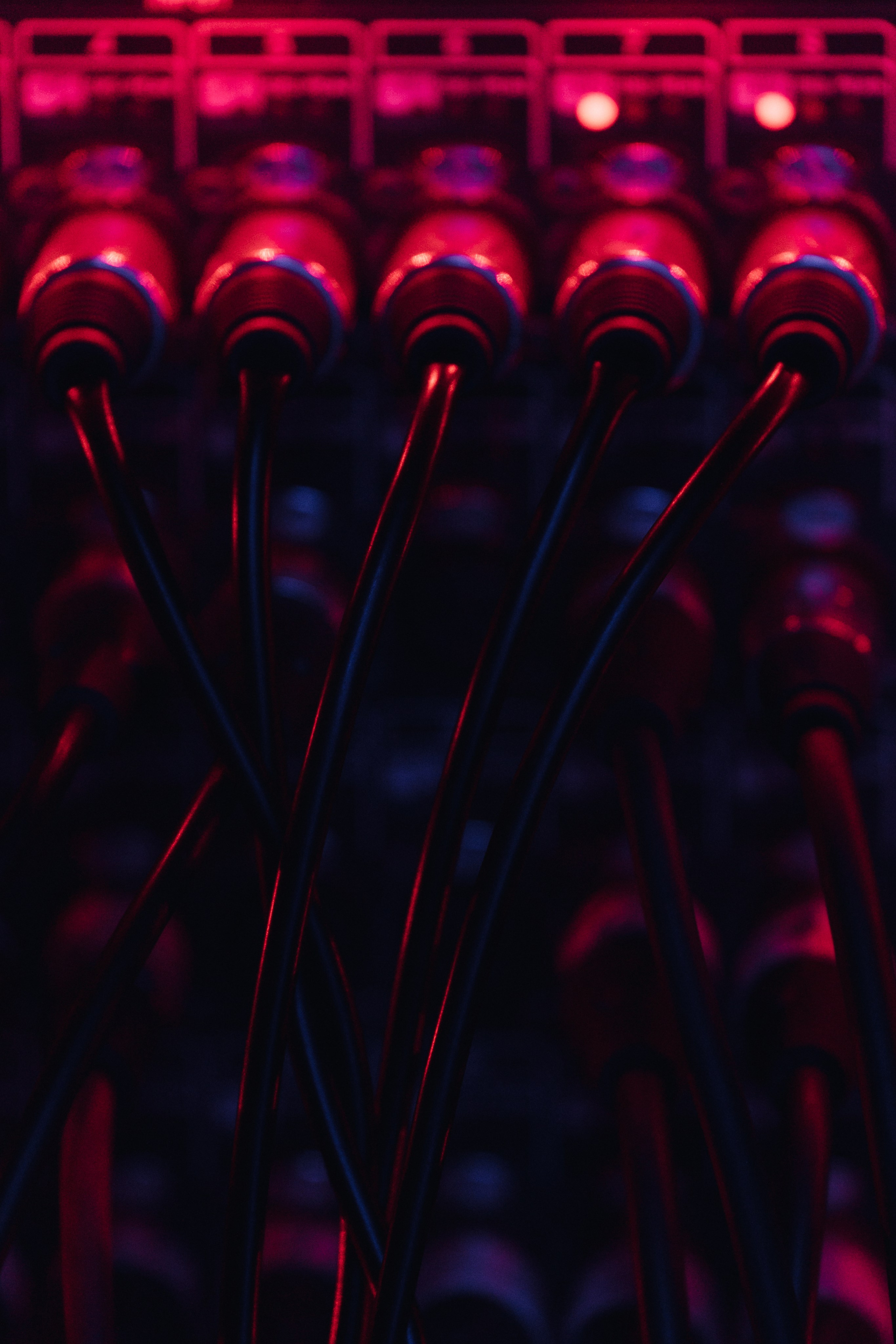 Rock Evolution 03.04.24. Свадебный фотограф в Краснодаре и Сочи Винидиктова Екатерина