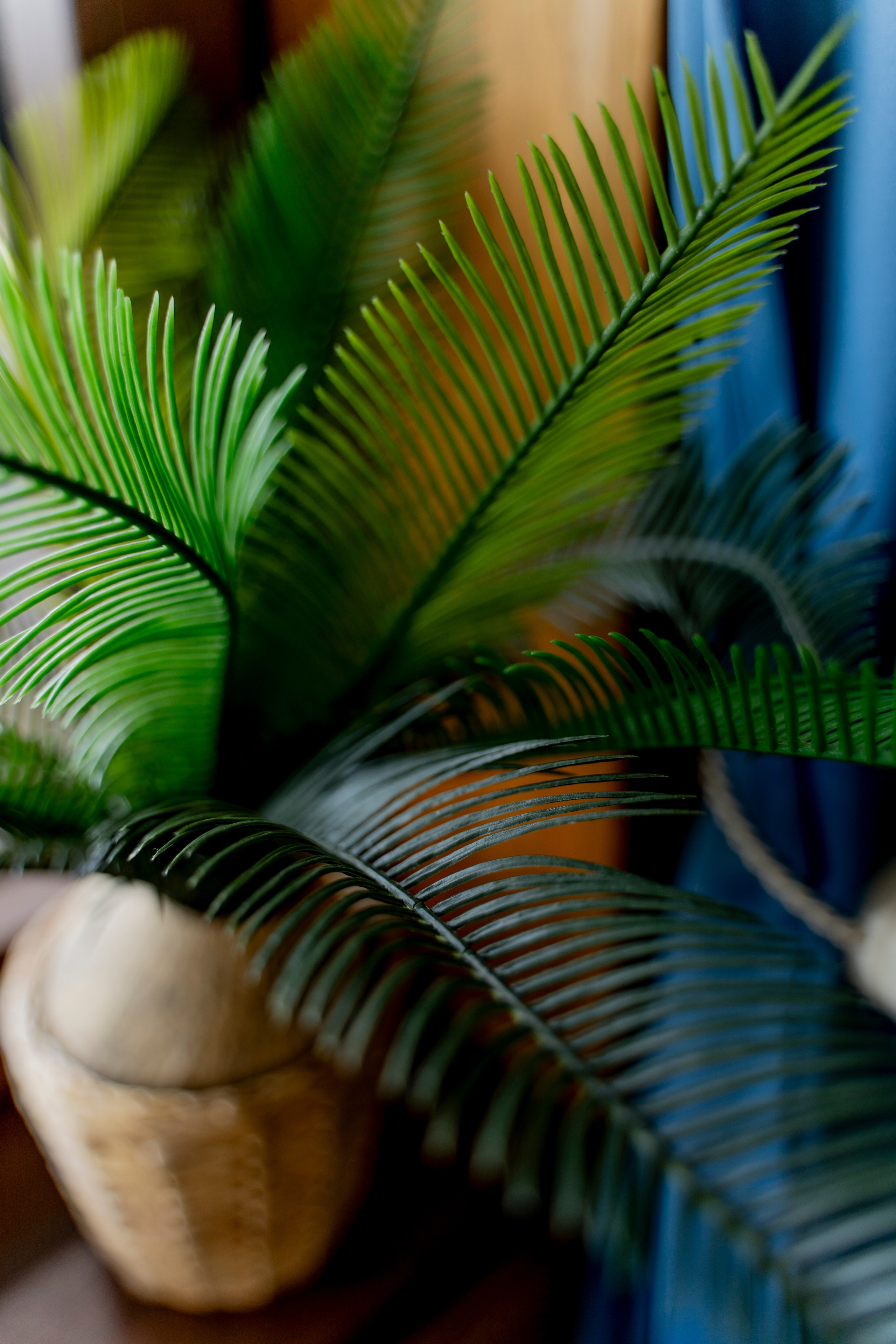 Rustic Apartman. Photographer Liana Sudets Serbia Kopaonik Brzece Brus