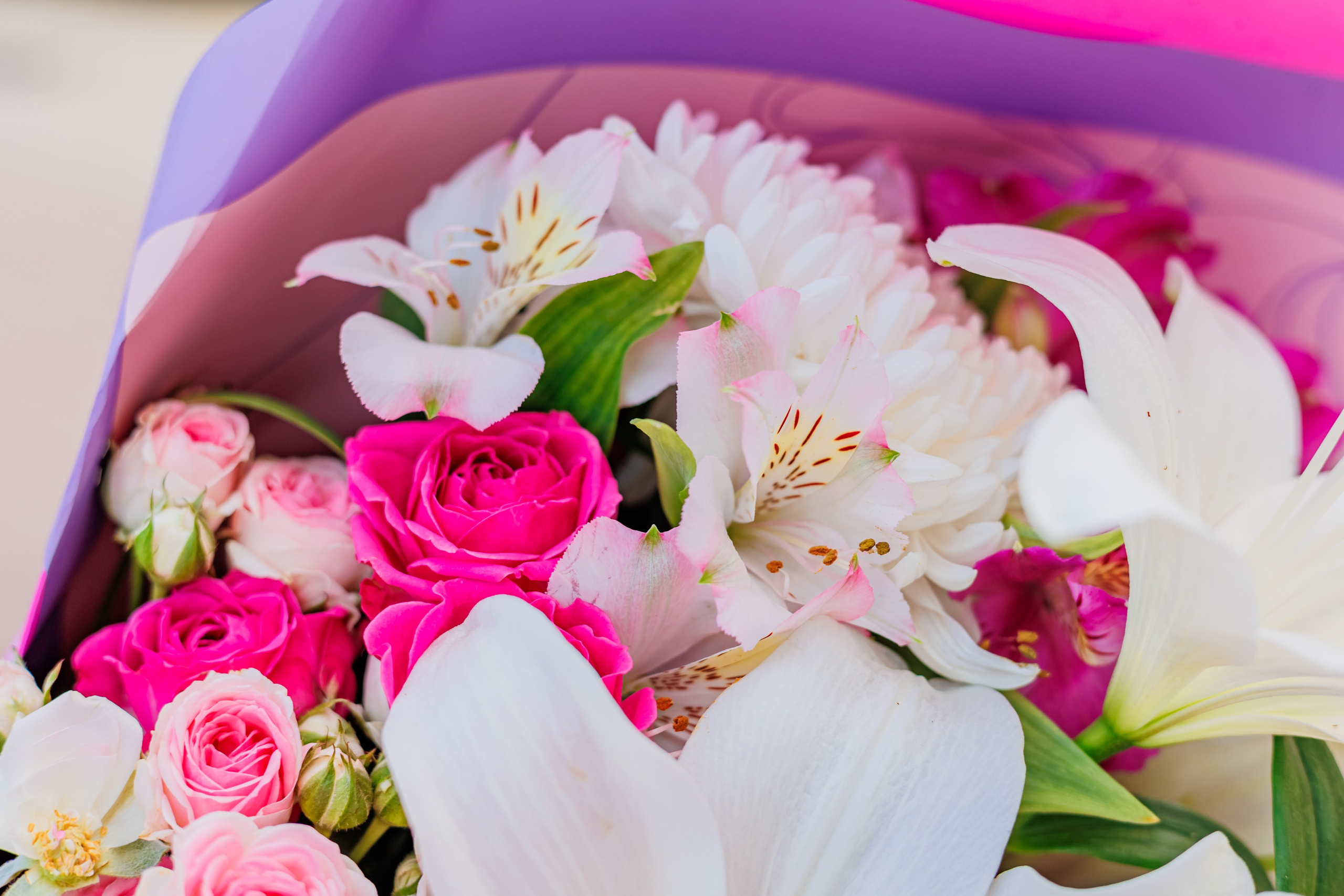 Выписка 25.09.24. Свадебный и семейный фотограф в Армавире