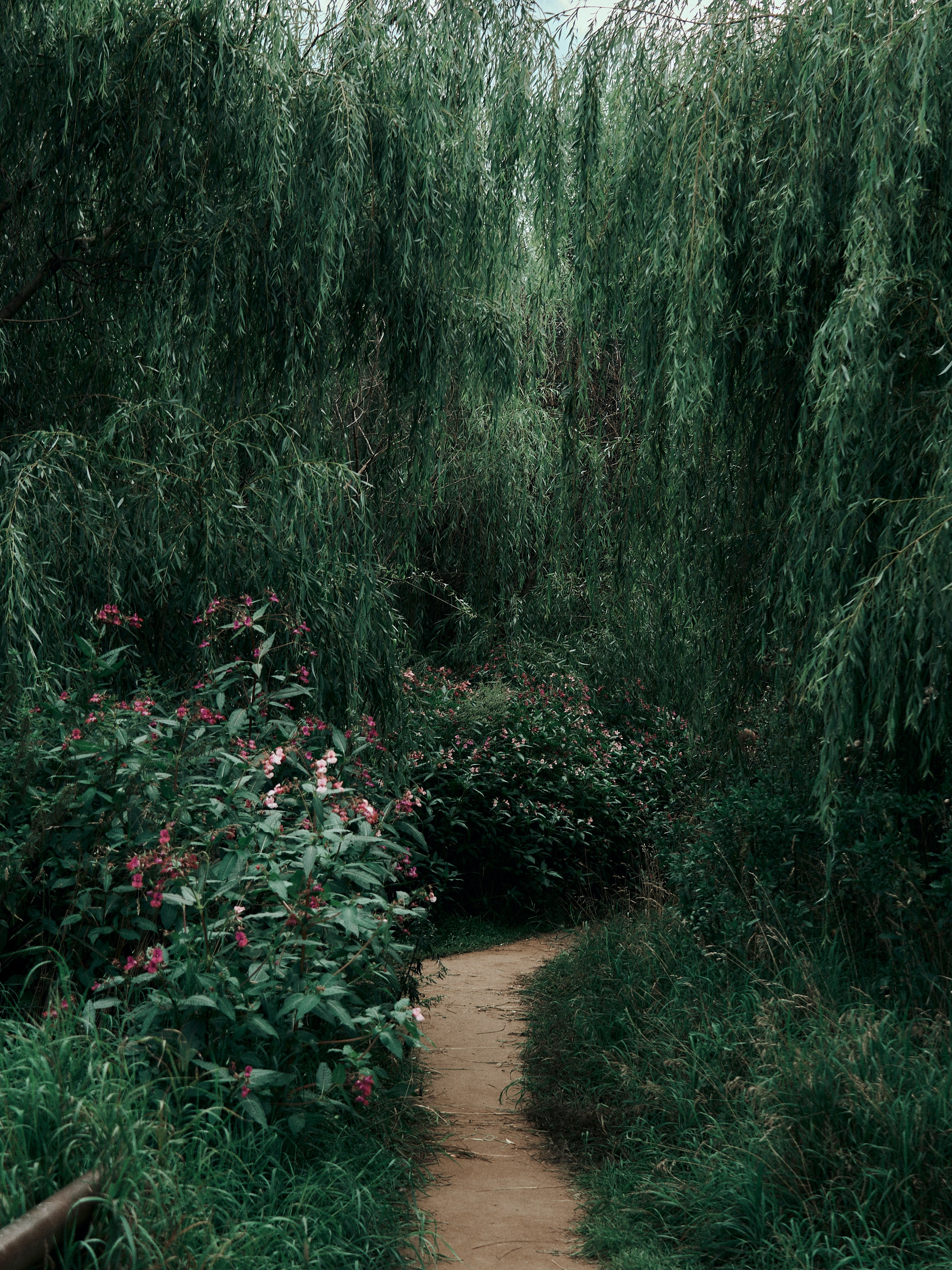 Street. Портретный фотограф в Москве
